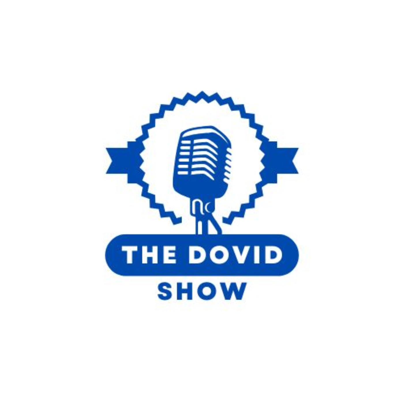 The Dovid Show