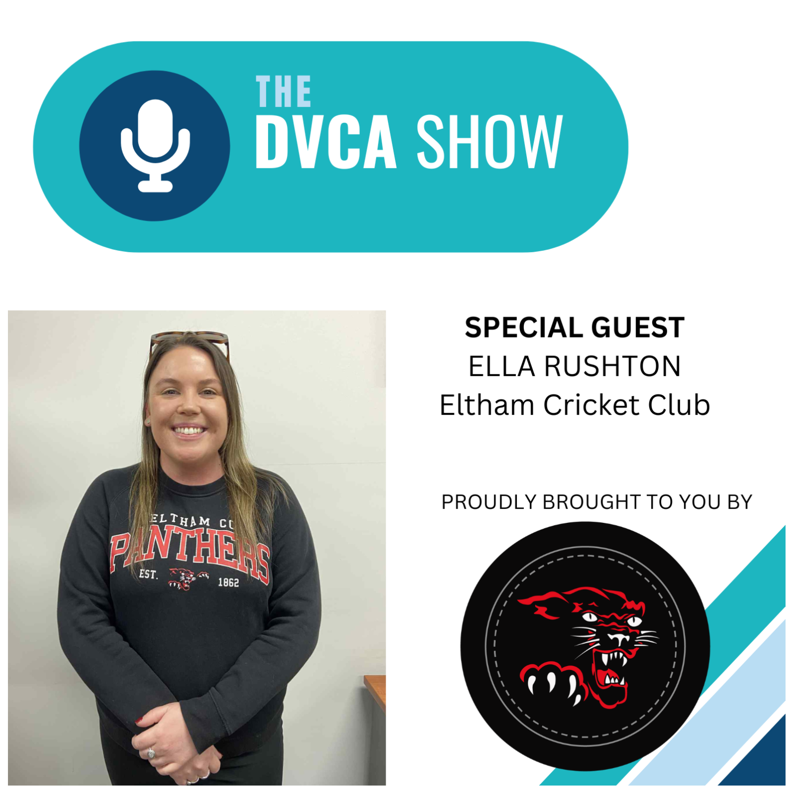 The DVCA Show