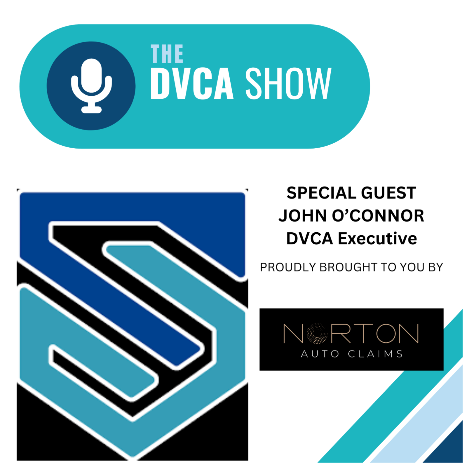 The DVCA Show