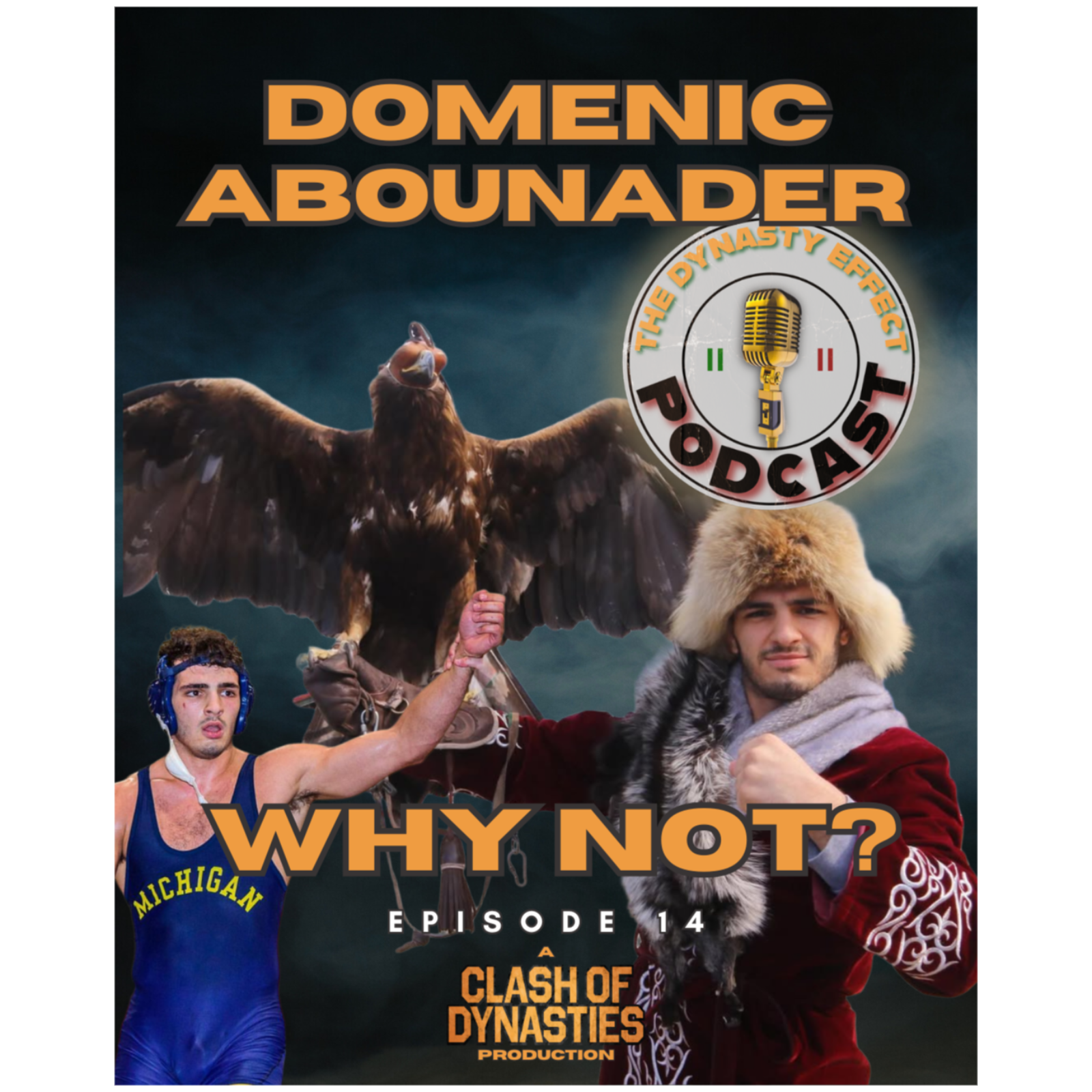 Domenic Abounader- "Why Not?" episode artwork