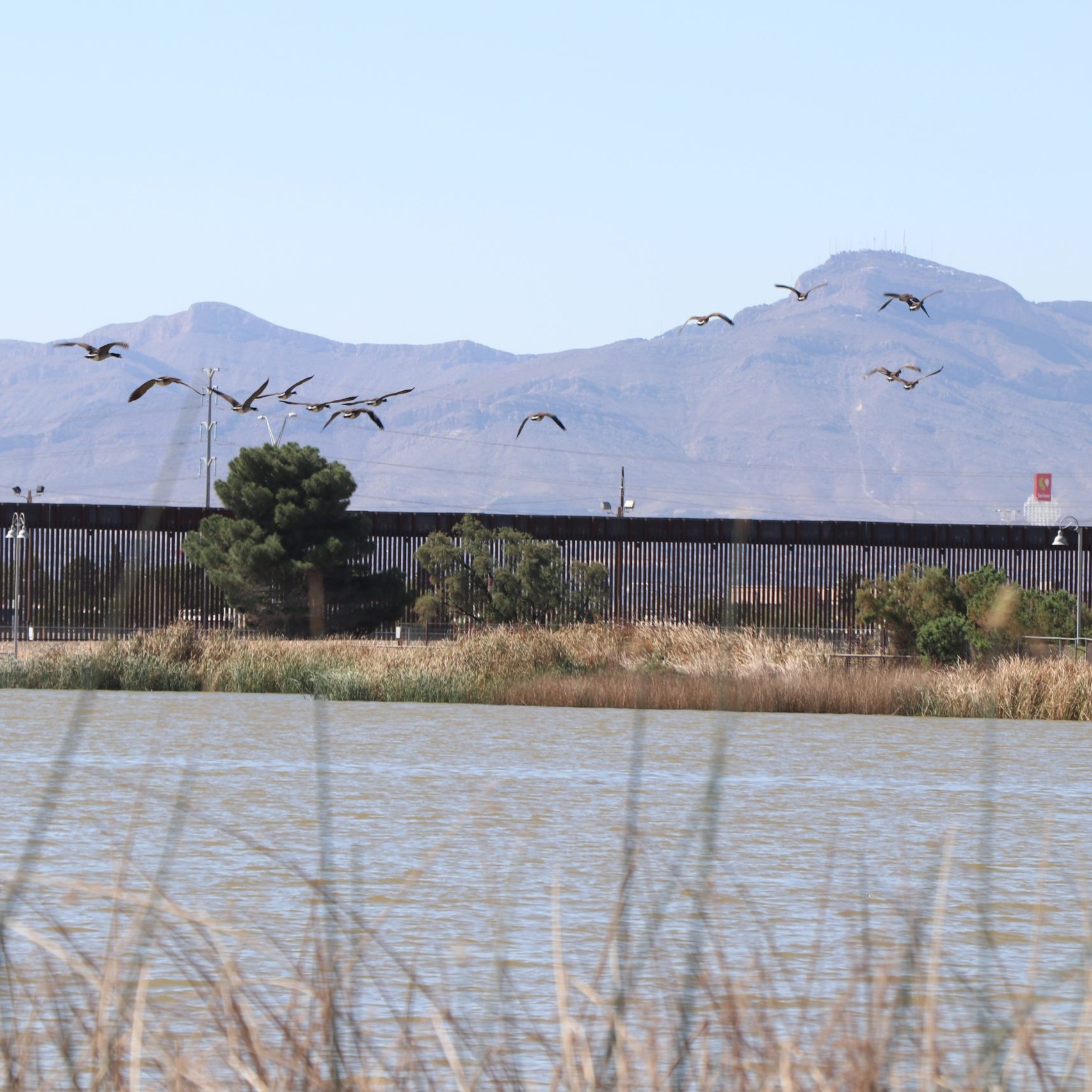 El Paso County is planning major renovations at Ascarate Park. Here's what to know.  episode artwork