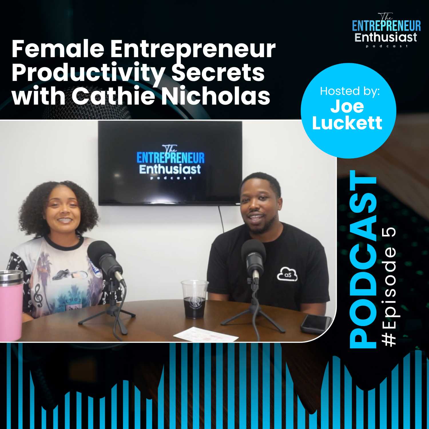 The Entrepreneur Enthusiast