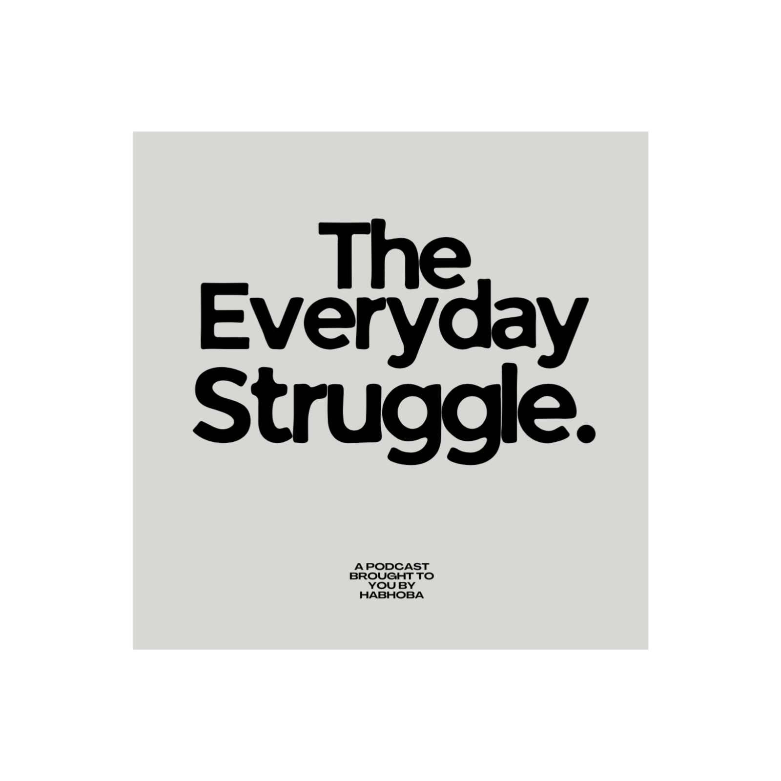 The Everyday Struggle