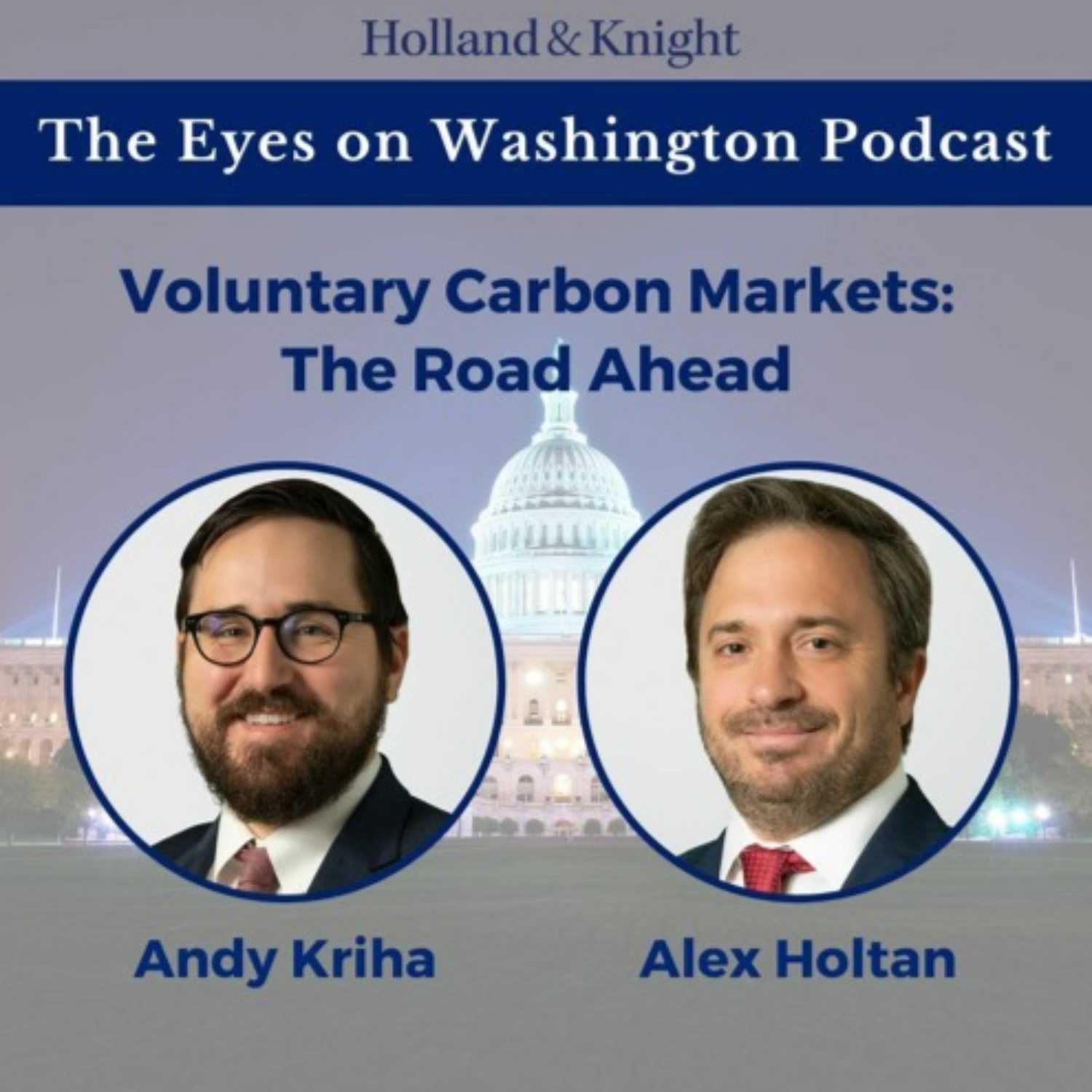 Voluntary Carbon Markets: The Road Ahead episode artwork