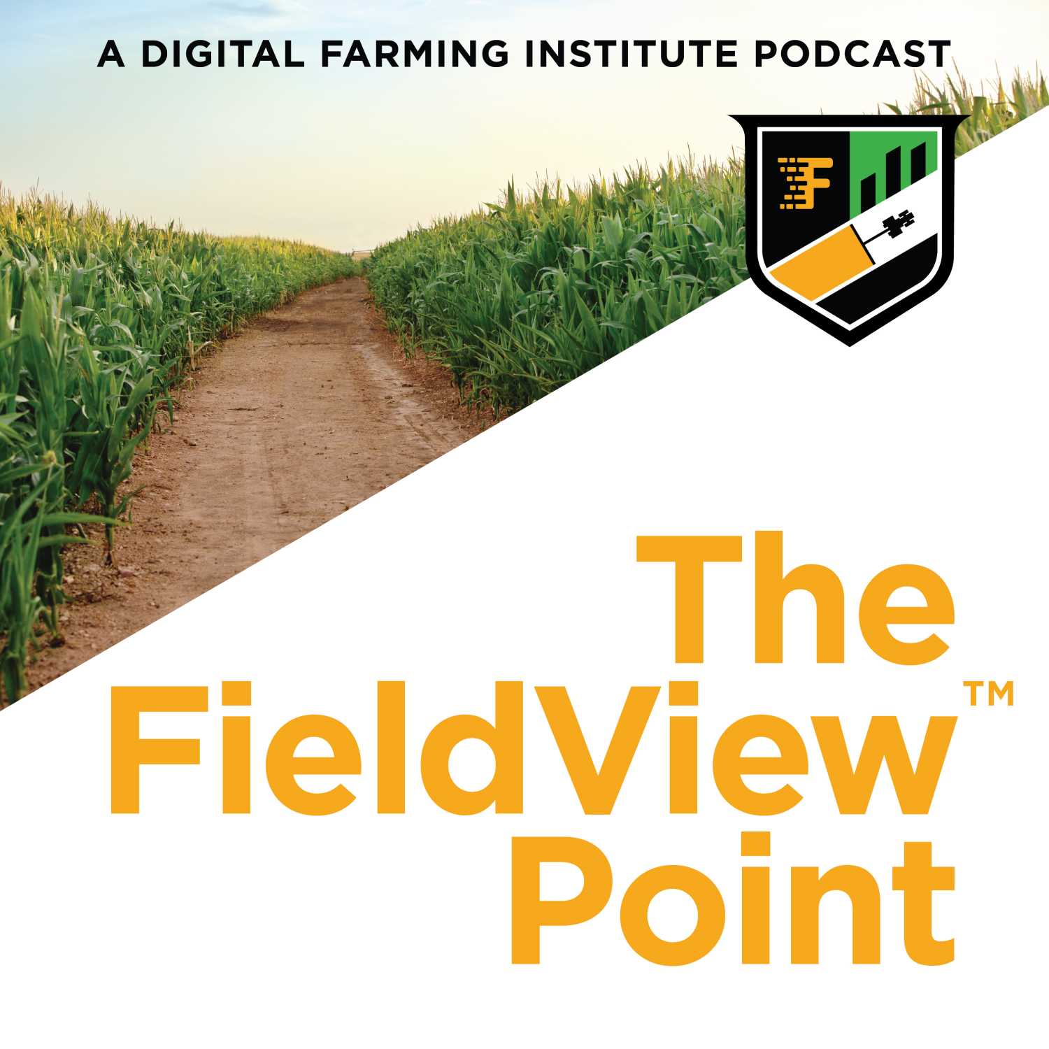 The FieldView Point