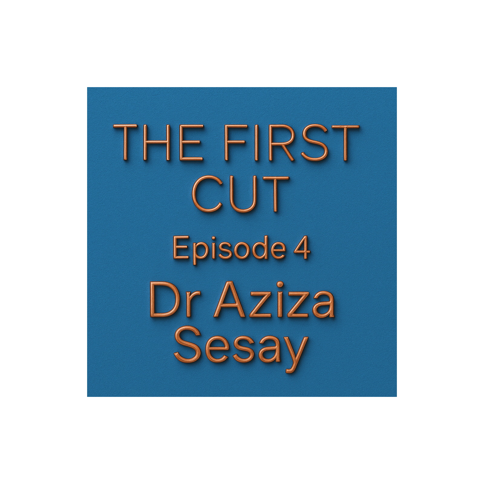 GP, educator, creator – Talks with Dr Sesay