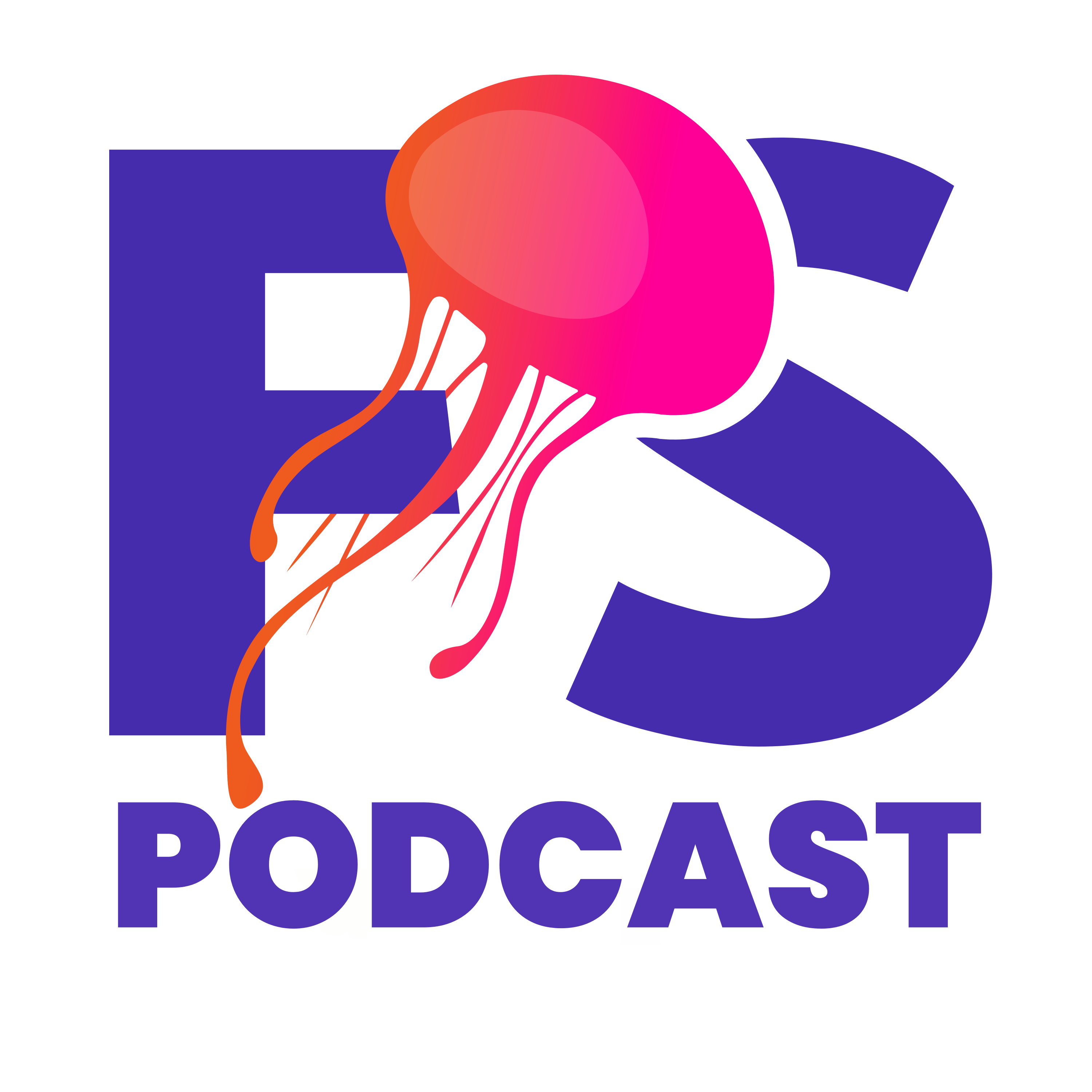 The Flow State Podcast