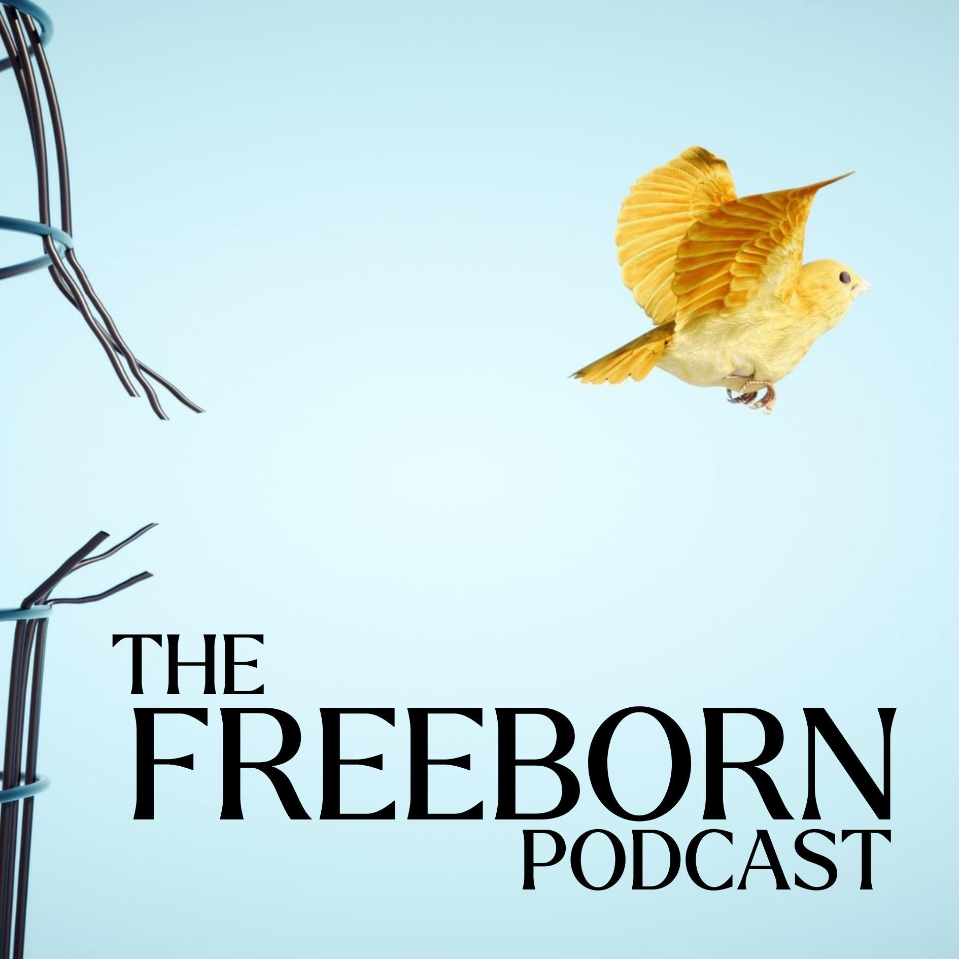 The Freeborn Podcast