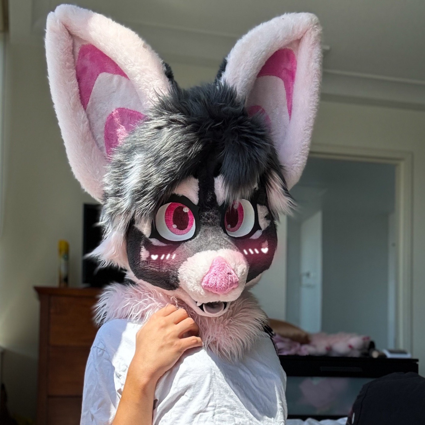Furry Fandom (Podcast) episode artwork