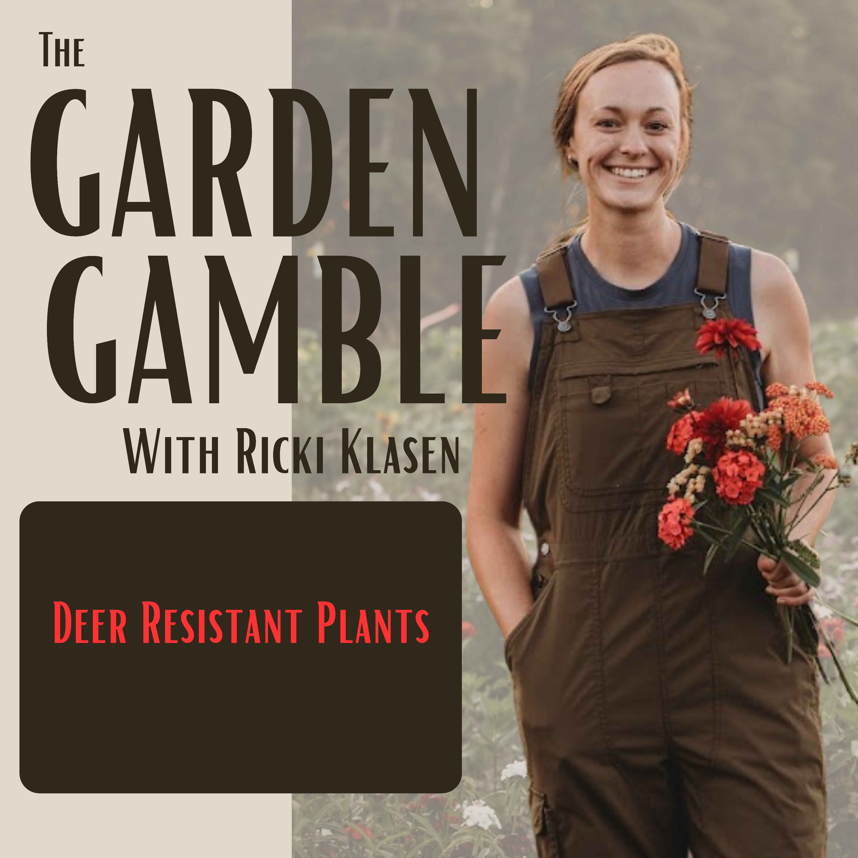12: Deer Resistant Plants