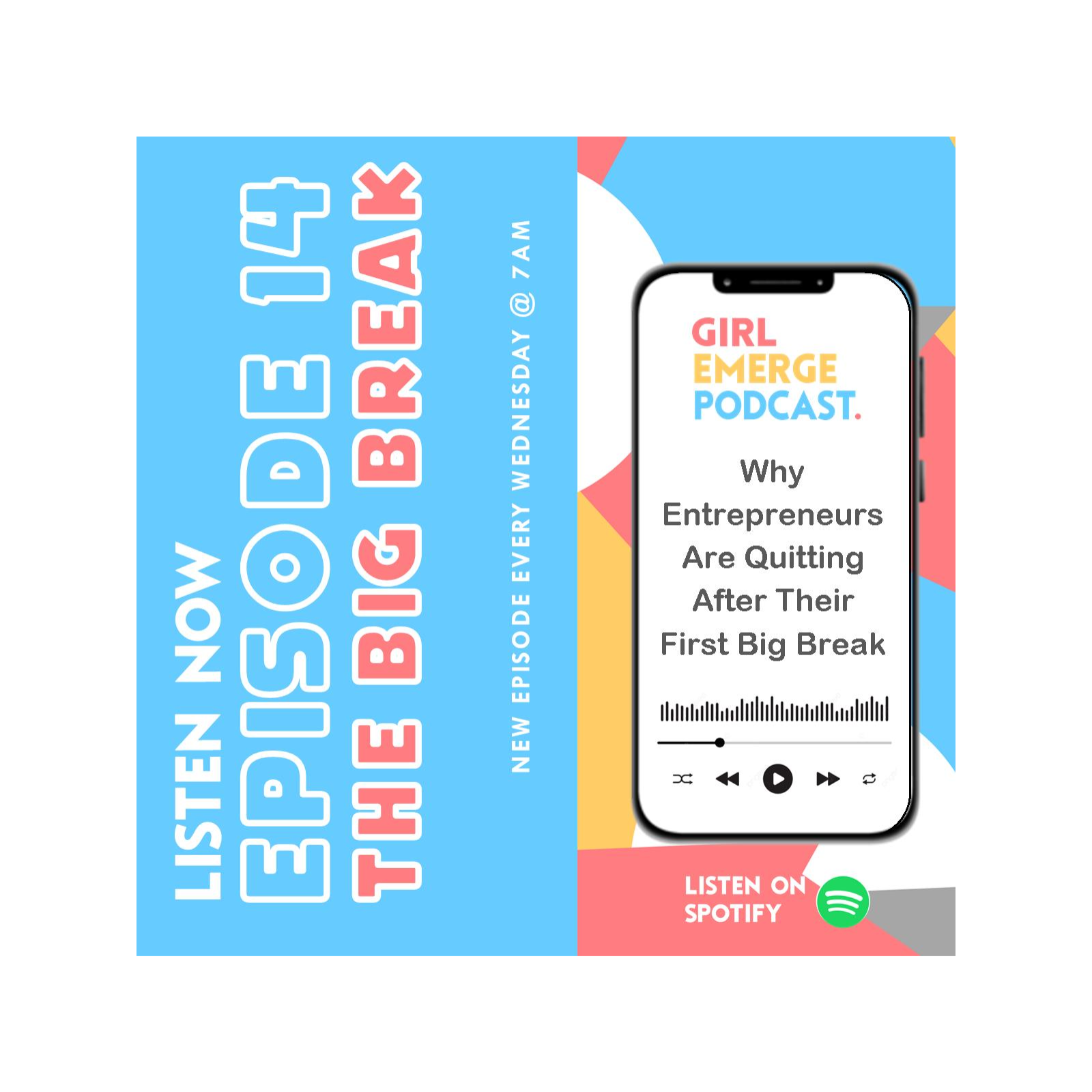 The Rise and Fall of Overnight Entrepreneurs episode artwork