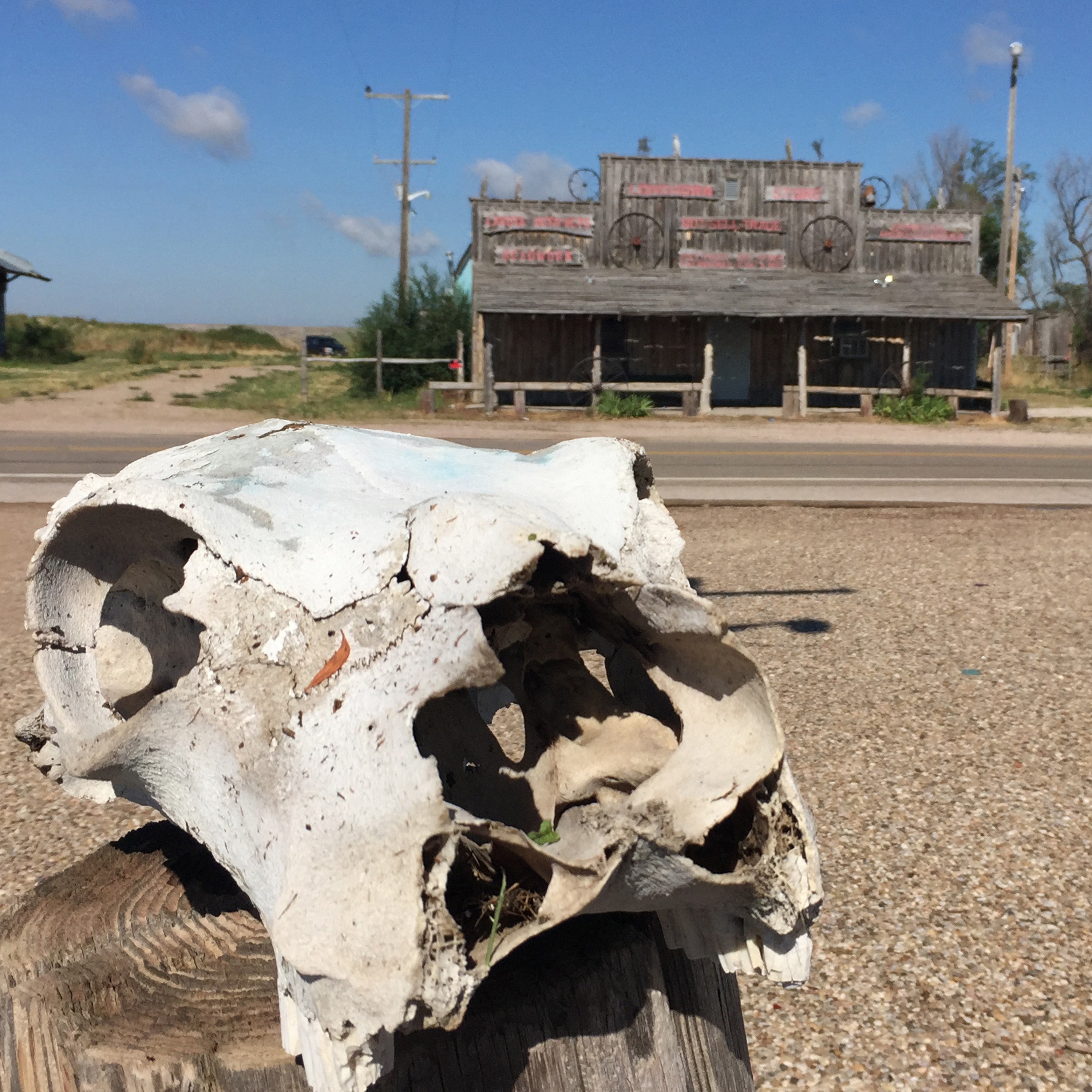 Chapter 12: Scenic, South Dakota; Population:12 episode artwork