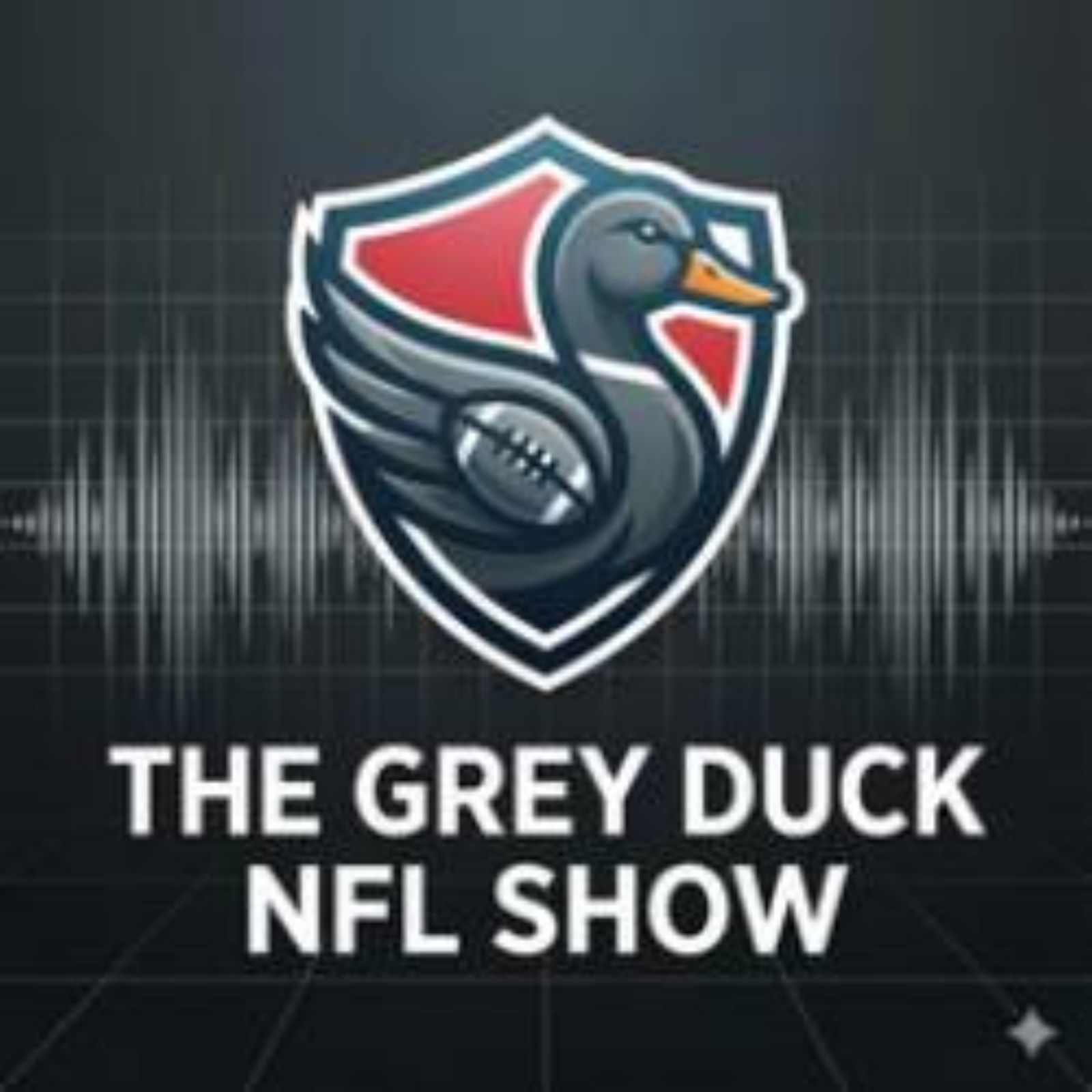 Tomlin OUT? Wild Card SHOCKERS + All-Pro Snubs We Can't Believe | Grey Duck NFL Show episode artwork