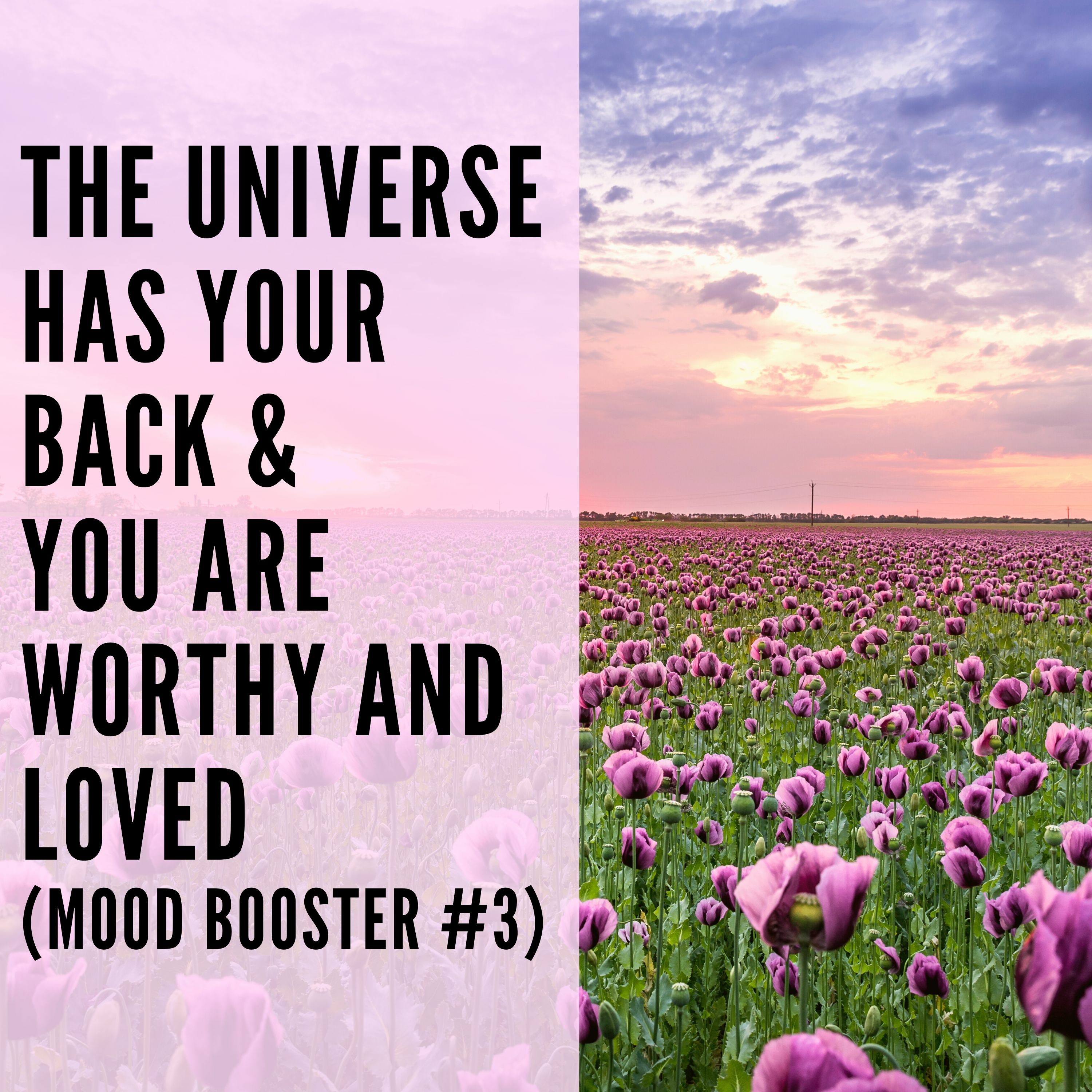 37 // The Universe Has Your Back & You Are Worthy and Loved (Mood Booster #3) episode artwork