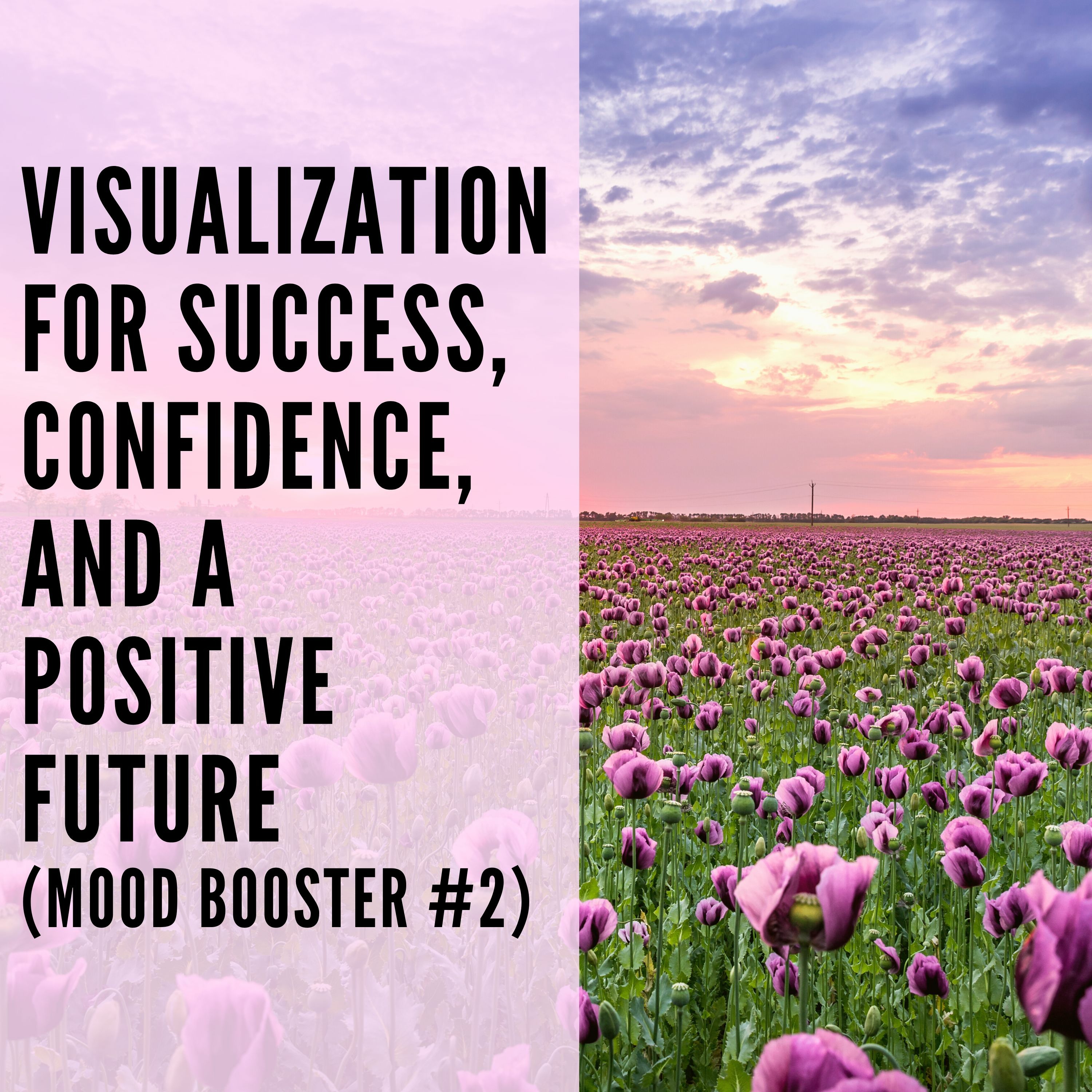 35 // Visualization for Success, Confidence, and a Positive Future (Mood Booster #2) episode artwork