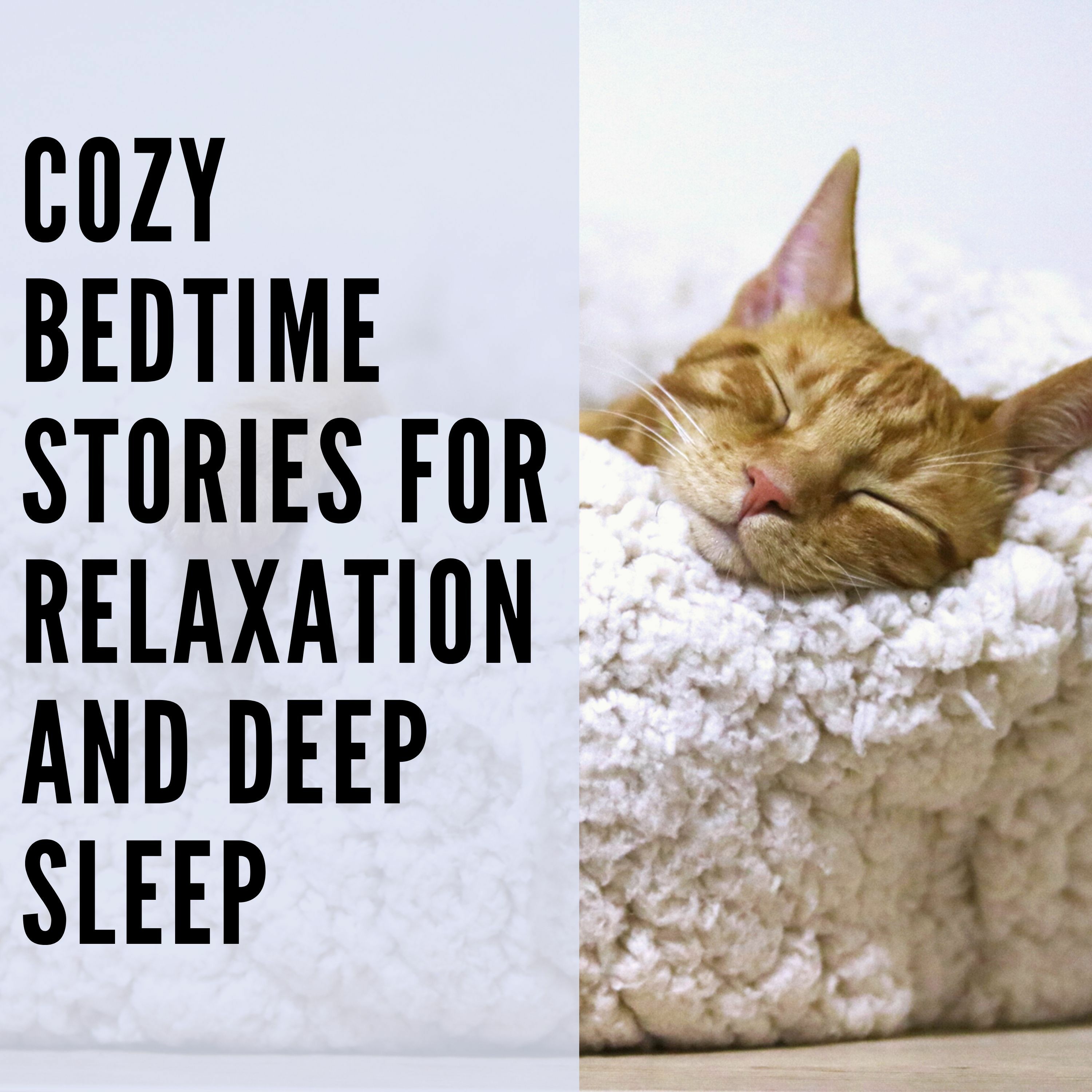 45 // Cozy Bedtime Sleep Stories for Relaxation and Deep Sleep episode artwork