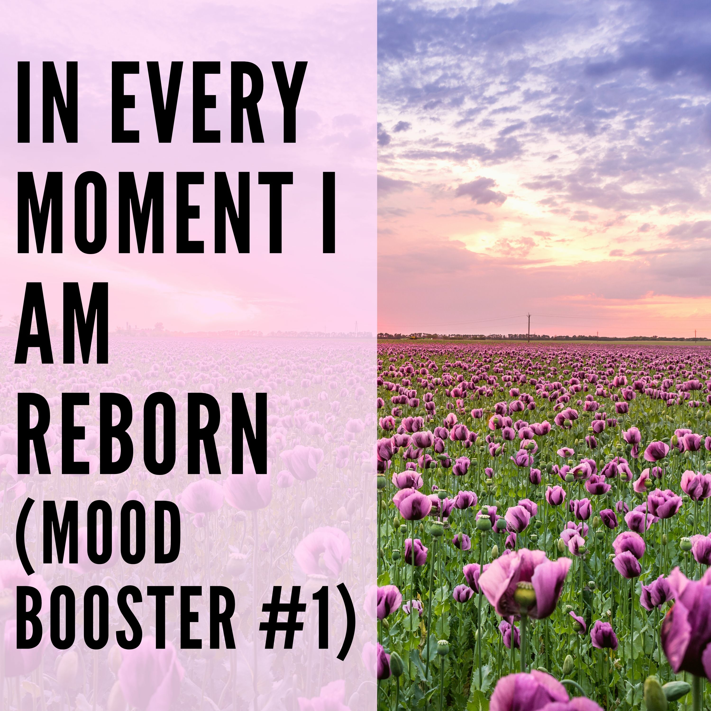 33 // In Every Moment I am Reborn (Mood Booster #1) episode artwork