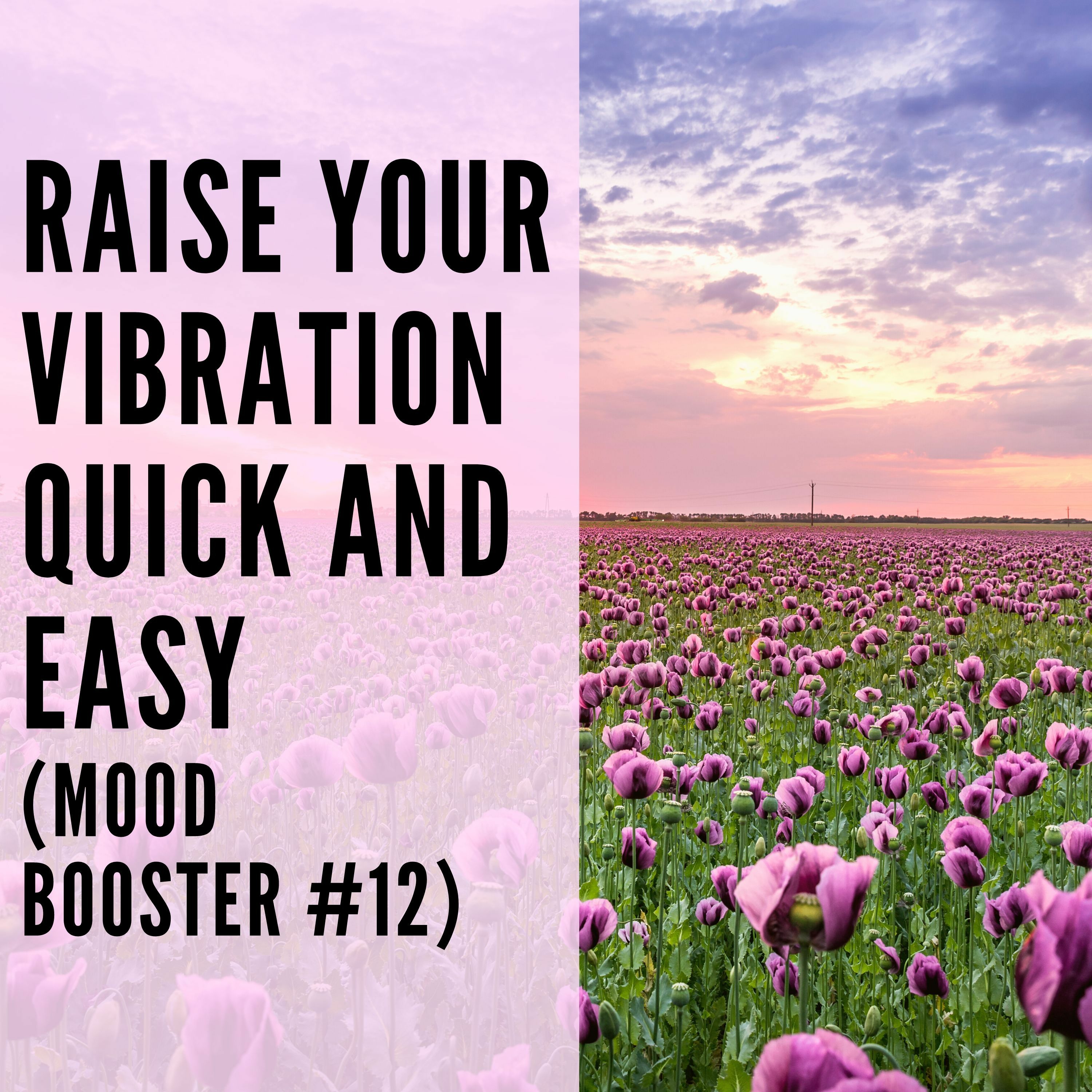 77 // Raise Your Vibration Quick and Easy (Mood Booster #12) episode artwork