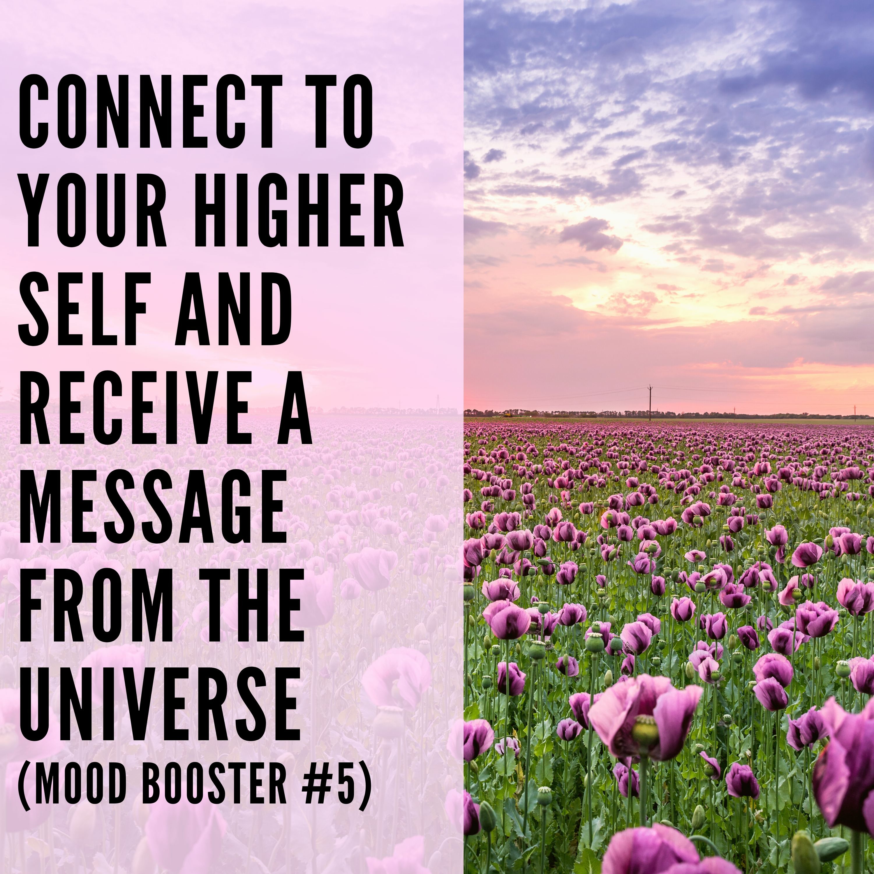 41 // Connect To Your Higher Self And Receive A Message From the Universe (Mood Booster #5) episode artwork