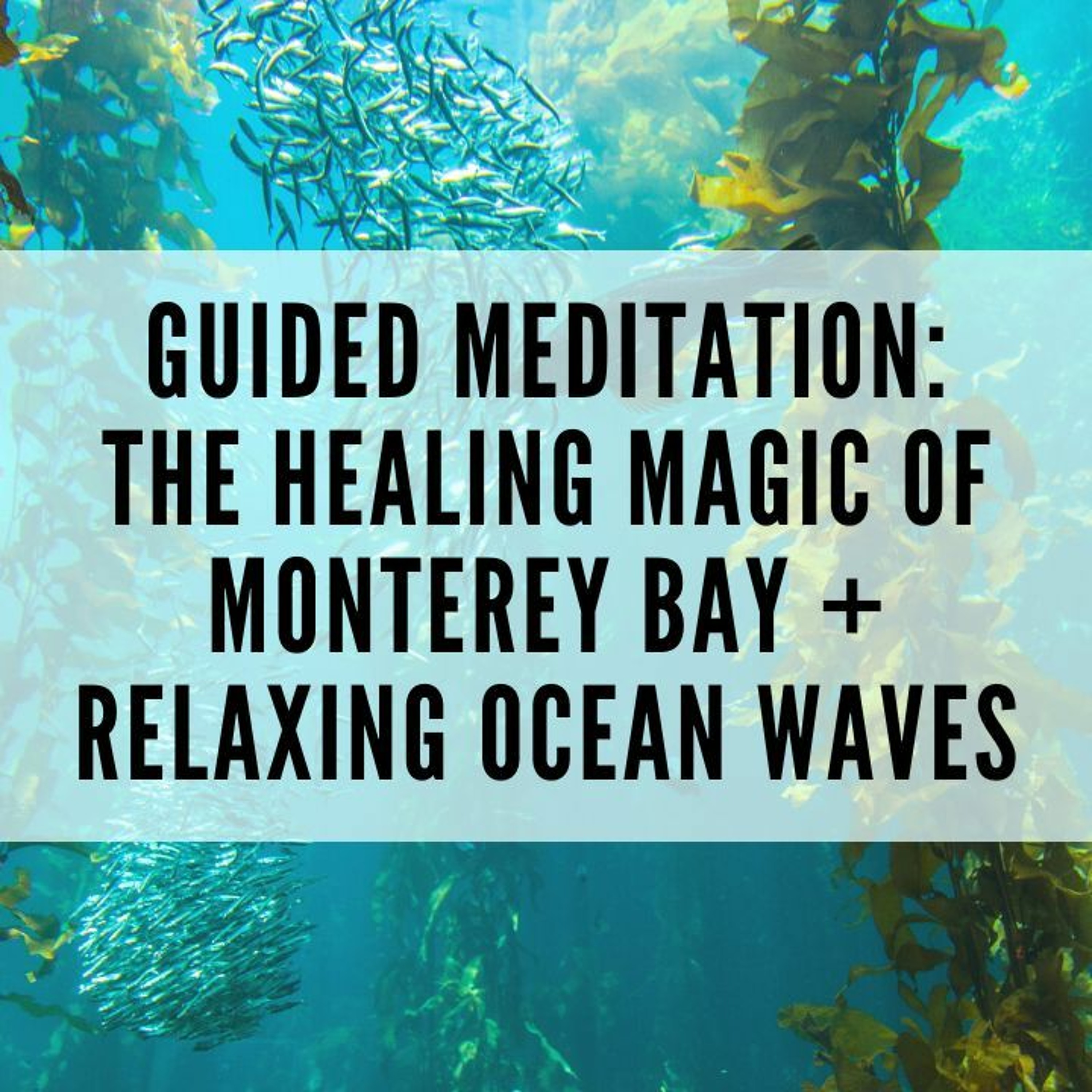 74 // Guided Meditation: The Healing Magic of Monterey Bay + Relaxing Ocean Waves episode artwork