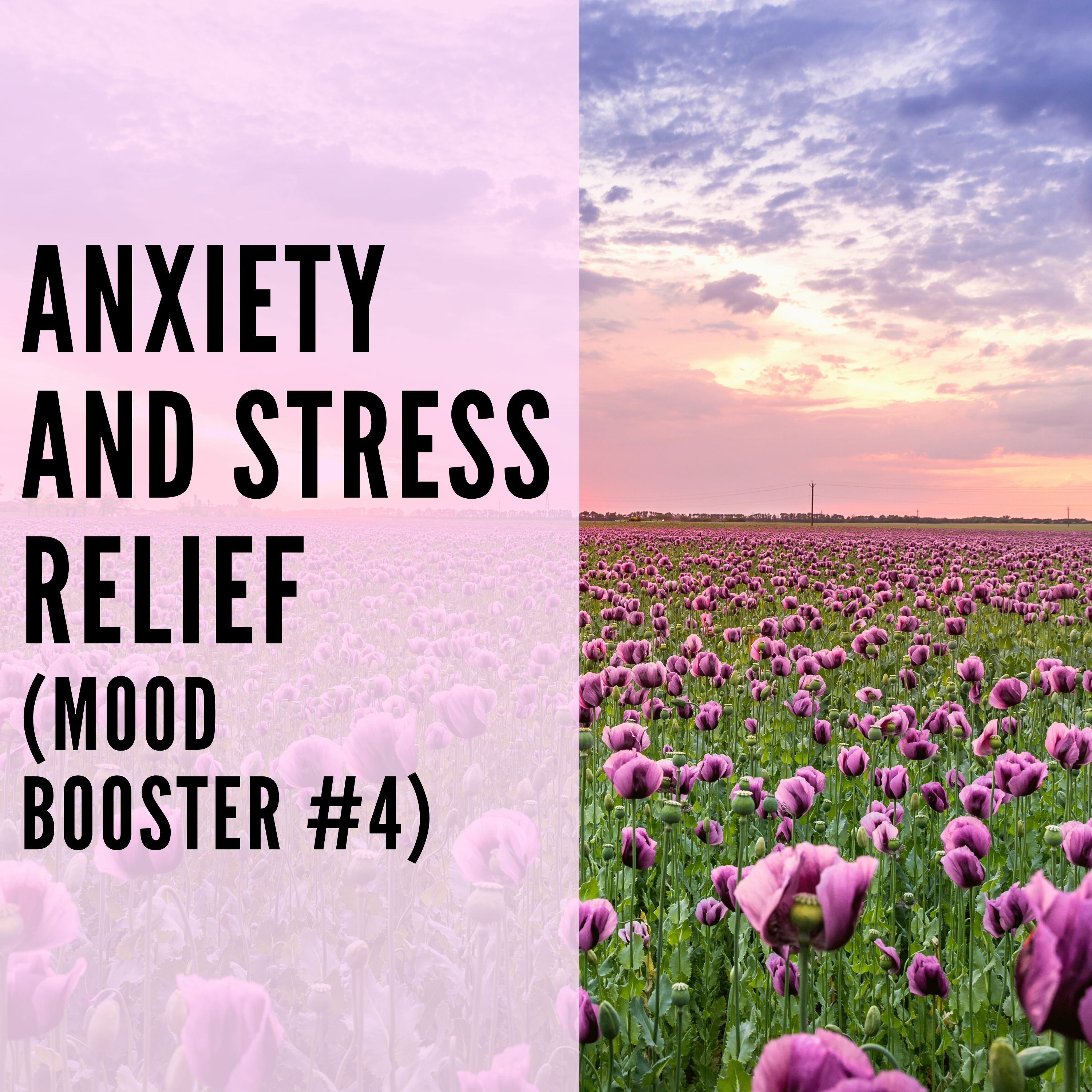 39 // Anxiety and Stress Relief (Mood Booster #4) episode artwork