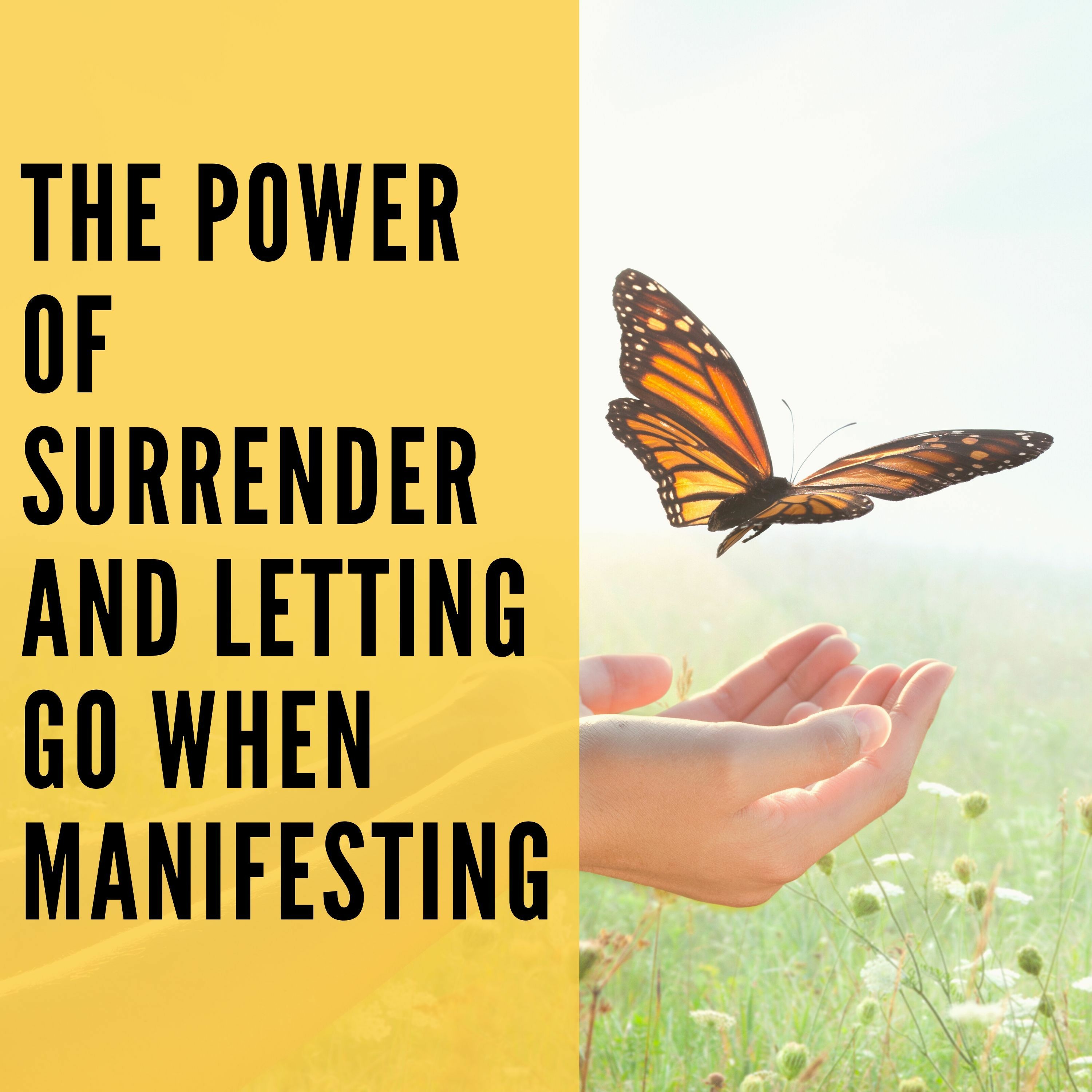 31 // The Power of Surrender and Letting Go When Manifesting episode artwork