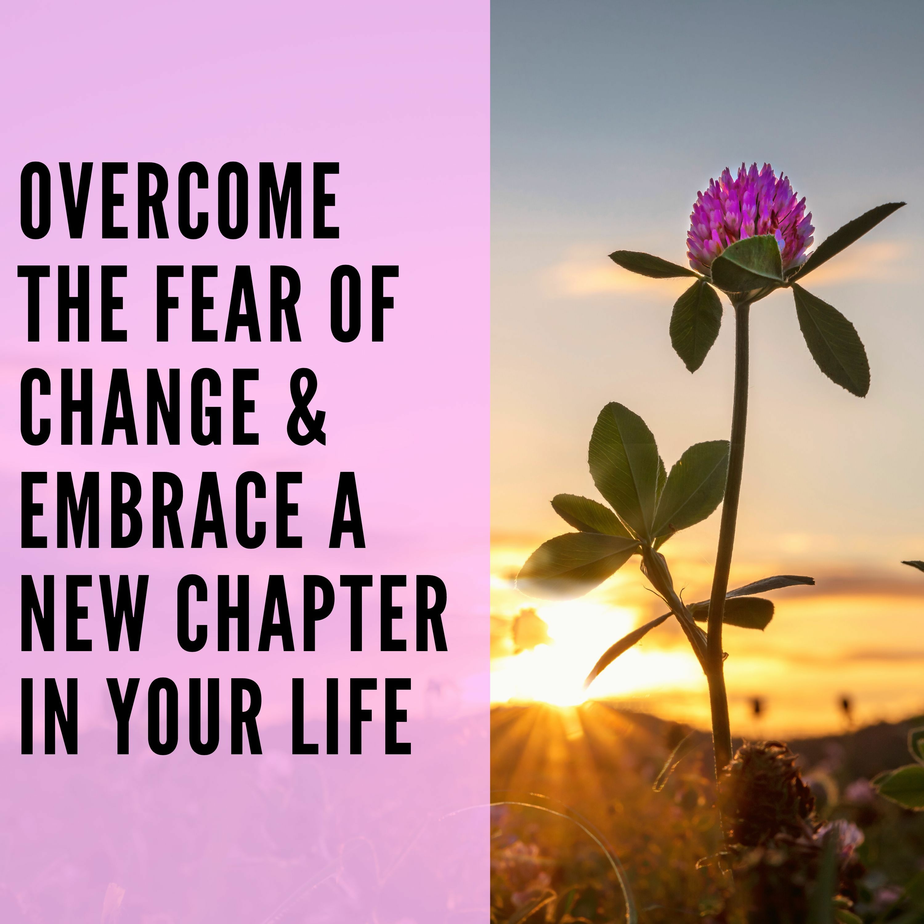 76 // Overcome the Fear of Change & Embrace a New Chapter In Your Life episode artwork