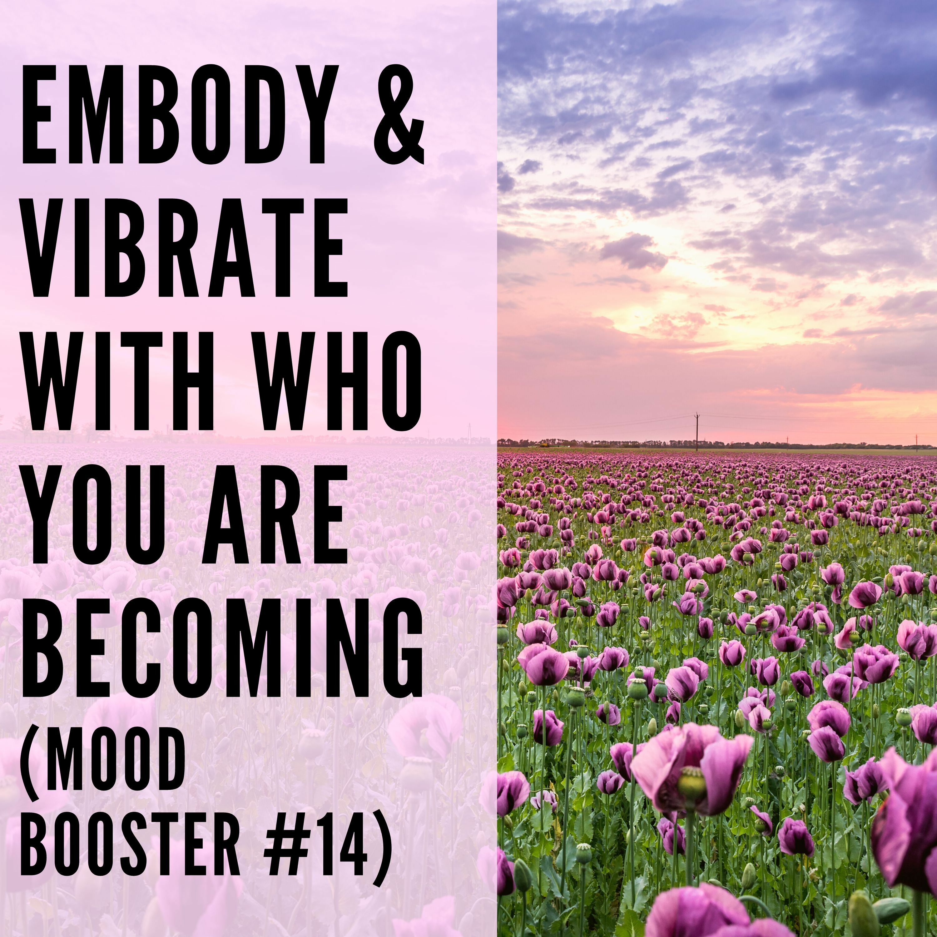 95 // Embody & Vibrate with Who Are You Becoming (Mood Booster #14) episode artwork