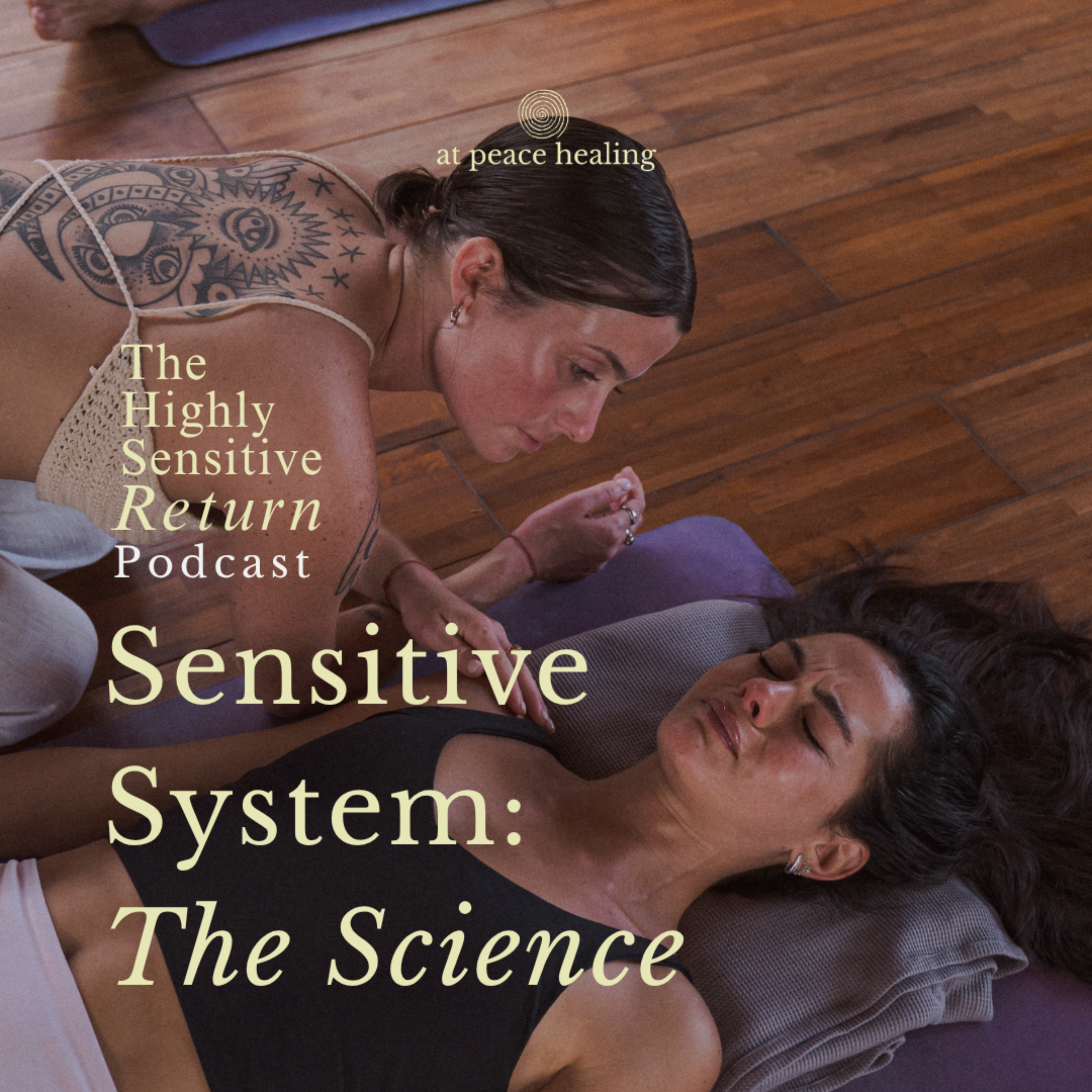 S1 Ep 12 | The Sensitive System: Part 1 – The Science | Lesson episode artwork