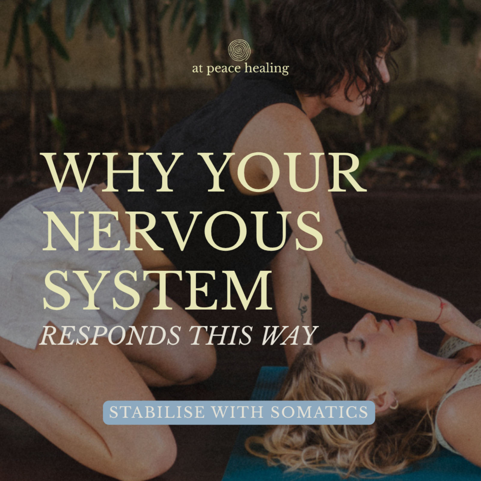 S3 Ep 2 | Stabilise with Somatic | Why the Nervous System Responds This Way | Lesson episode artwork