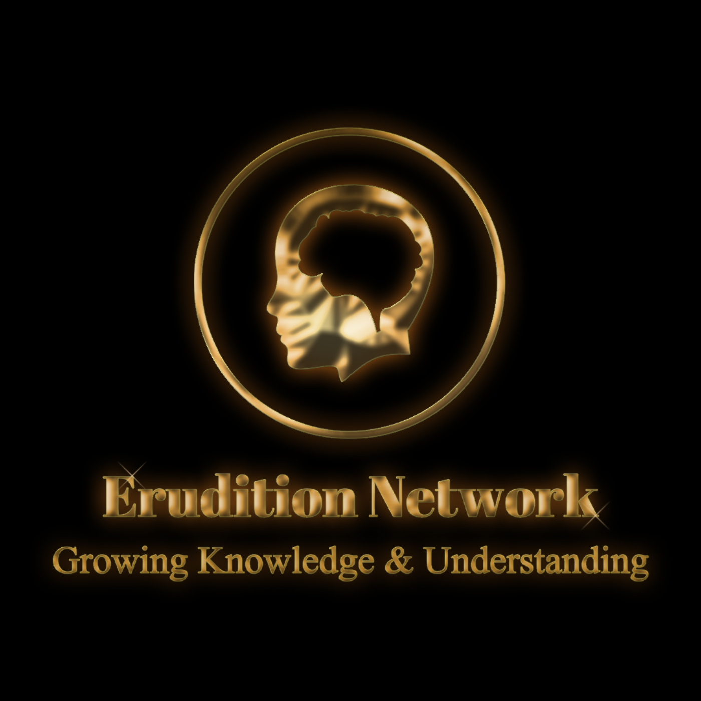 The Erudition Network Interactive Black History & Adroit Living