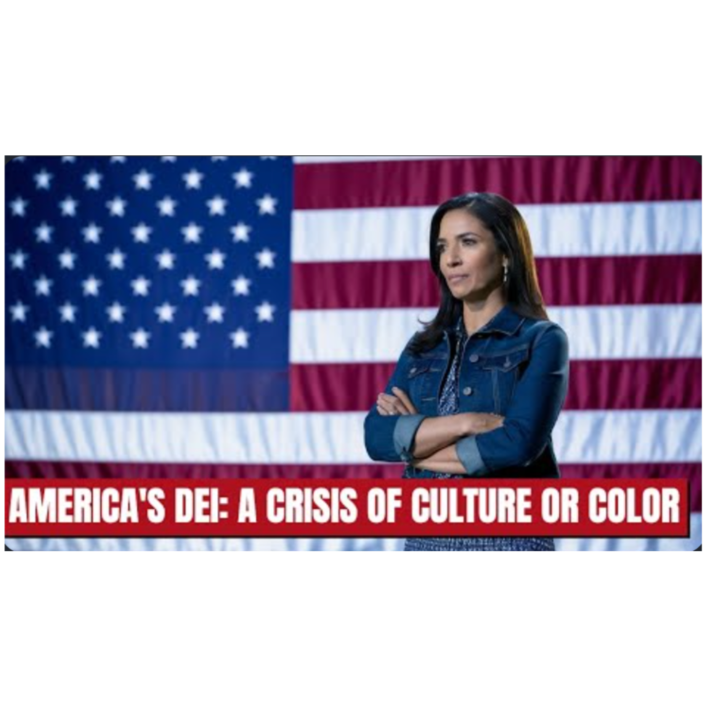 Black History Interactive: America's DEI: A Crisis of Culture, or Color? episode artwork