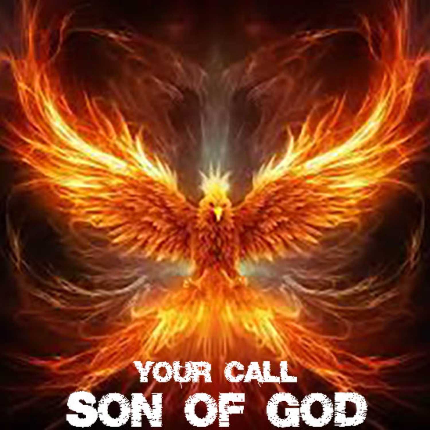 The Awakening of the Son of God  -IMMORTALITY MANIFESTATION-