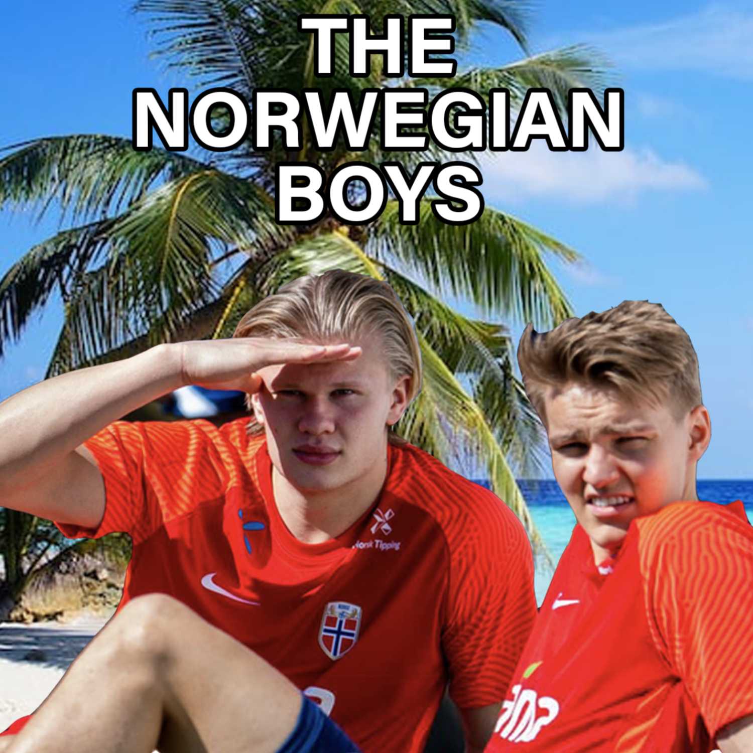 The Hooligan\'s Pitch