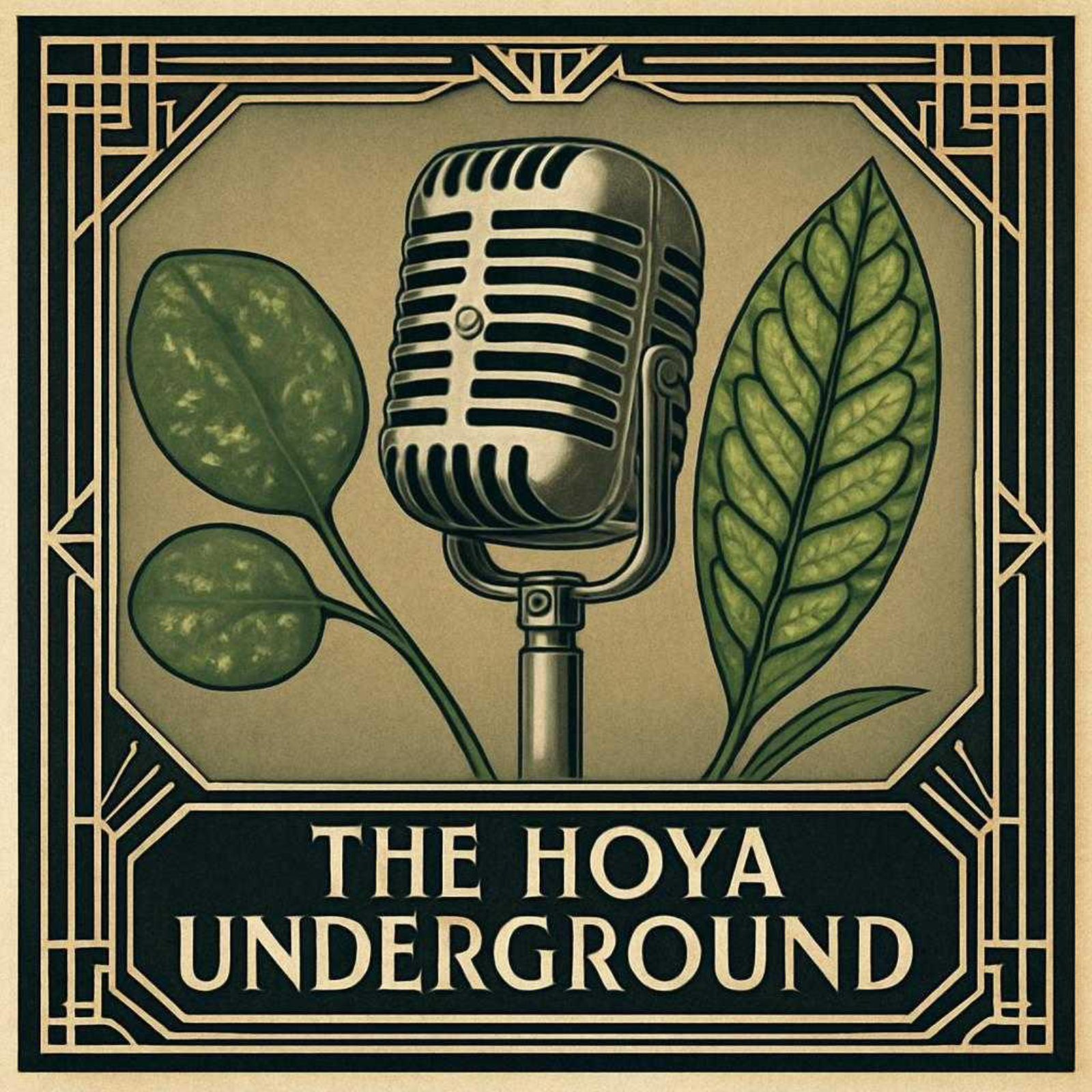 The Hoya Underground