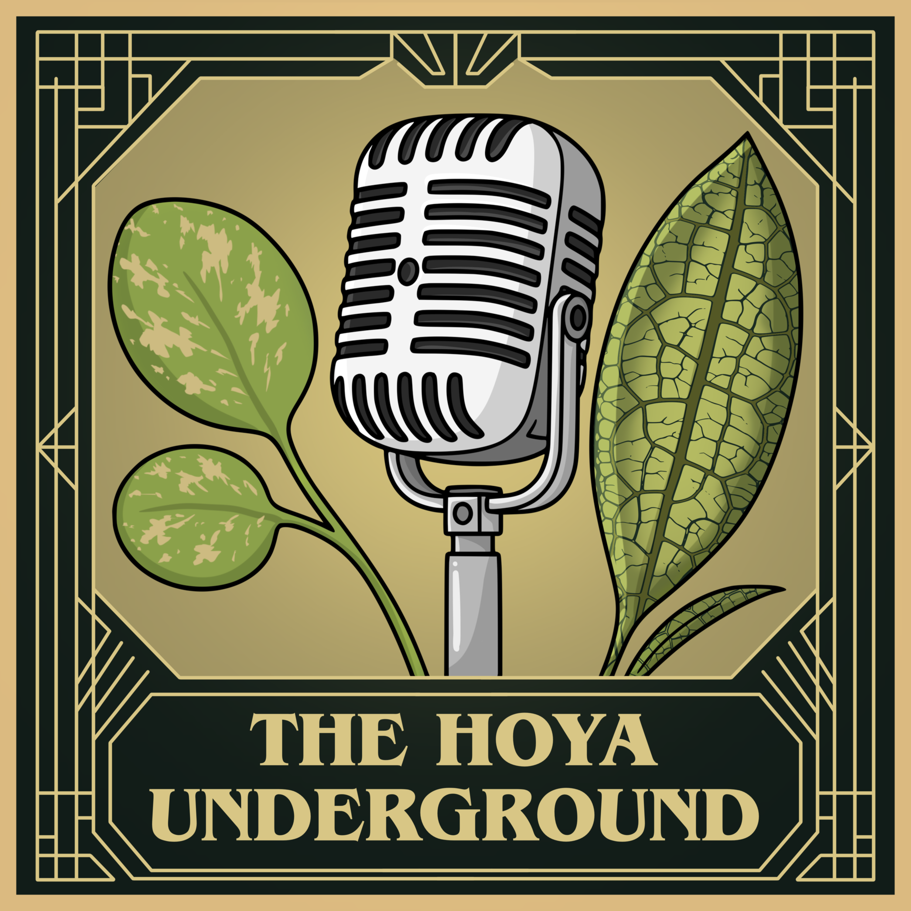 Artwork for The Hoya Underground