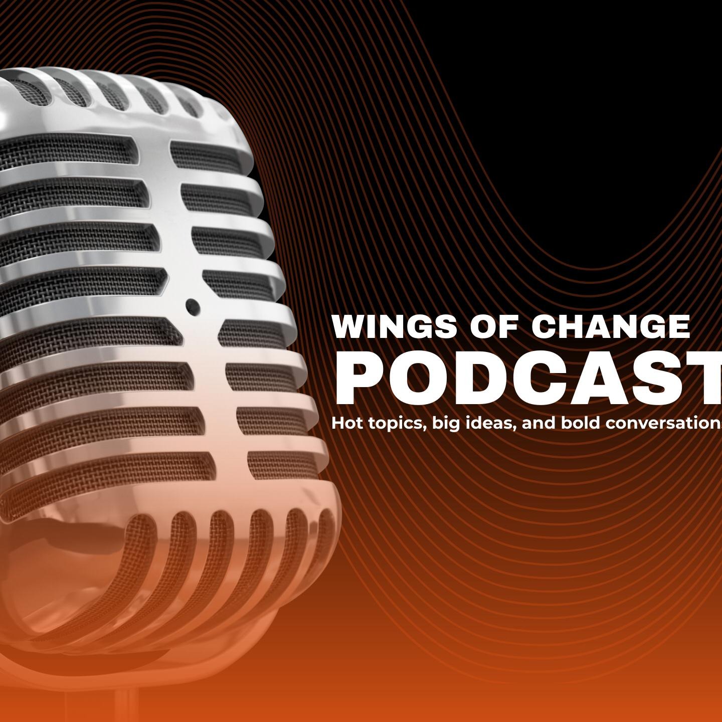 The Inclusive Skies Podcast 