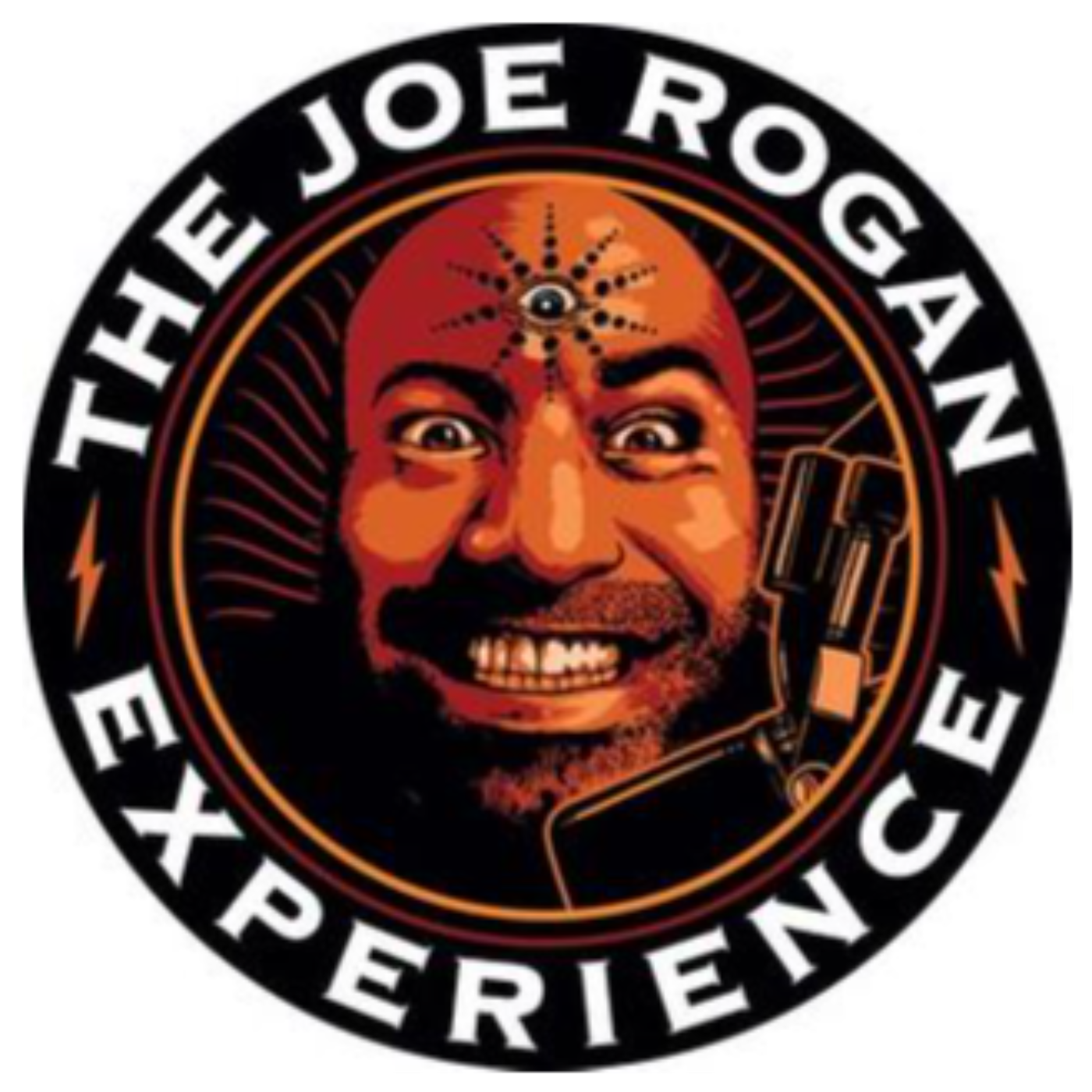 The Joe Rogan Experience, Podcast Summary
