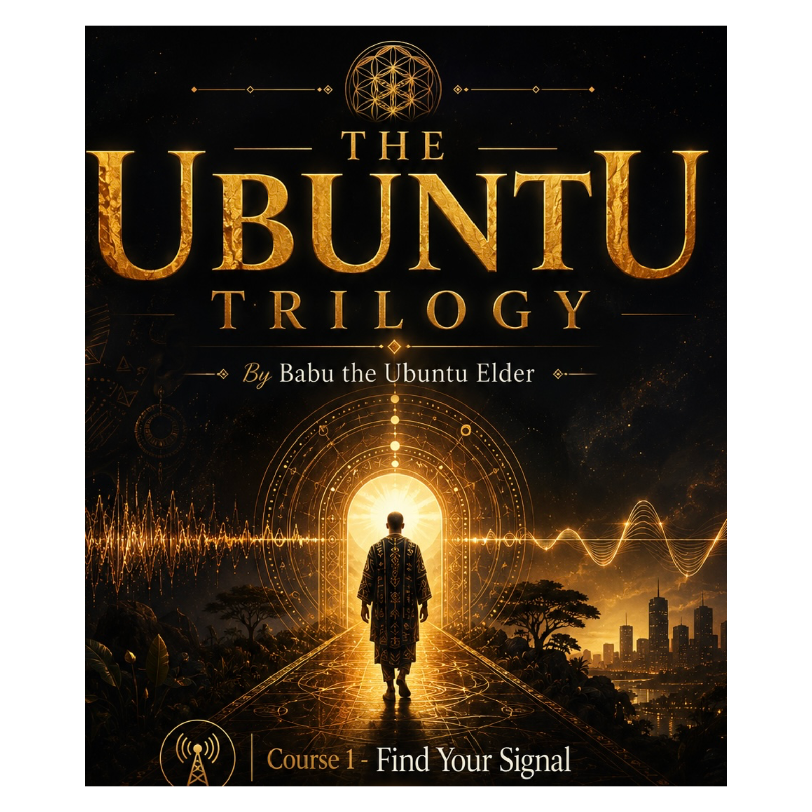 Find Your Signal- Course 1- There is a lot of noise out there.  Some of it is loud. Some of it is quiet but heavy. episode artwork