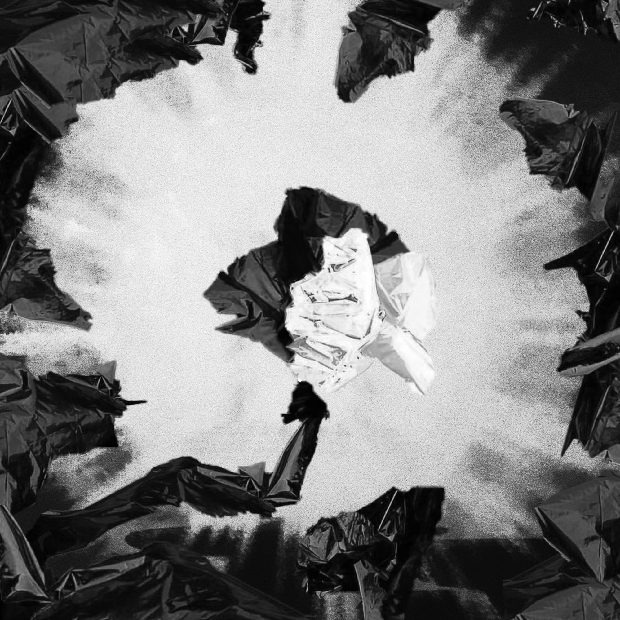 Going Nowhere episode artwork