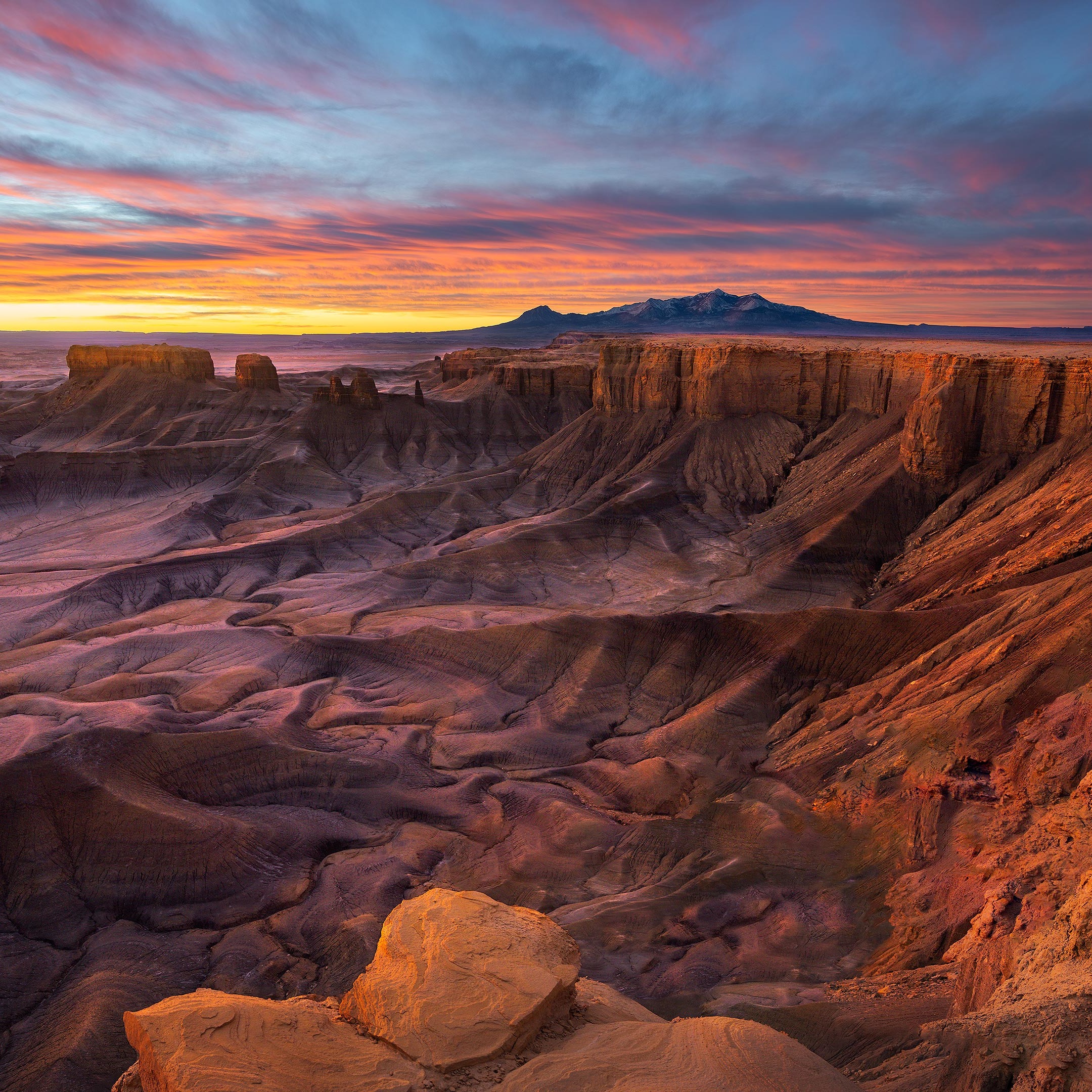 The Knowledge Provider