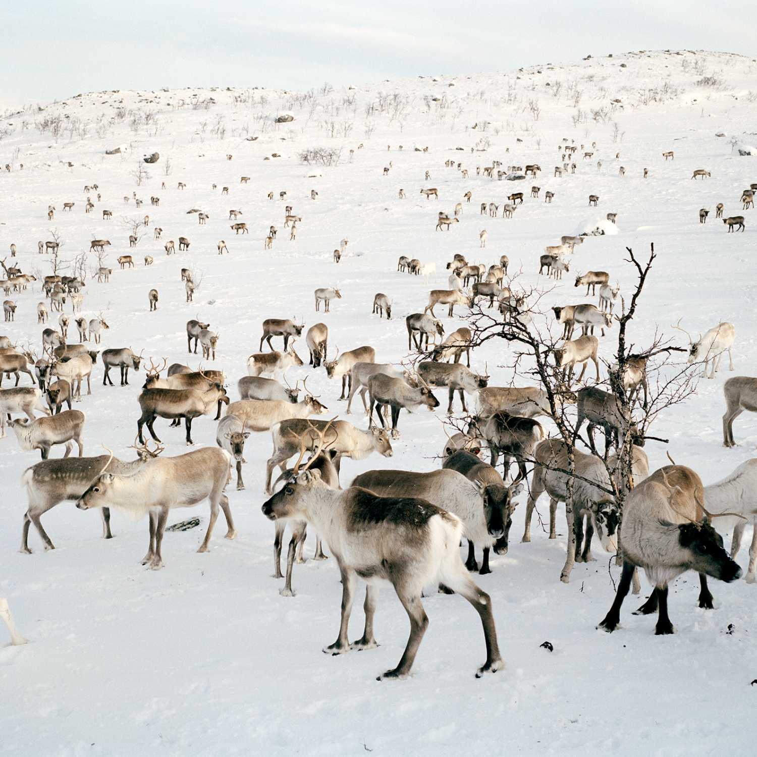The Land Behind: Conversations on Photography, Perception and Place