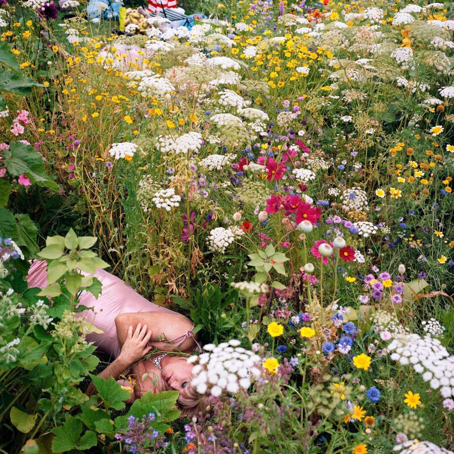 The Land Behind: Conversations on Photography, Perception and Place