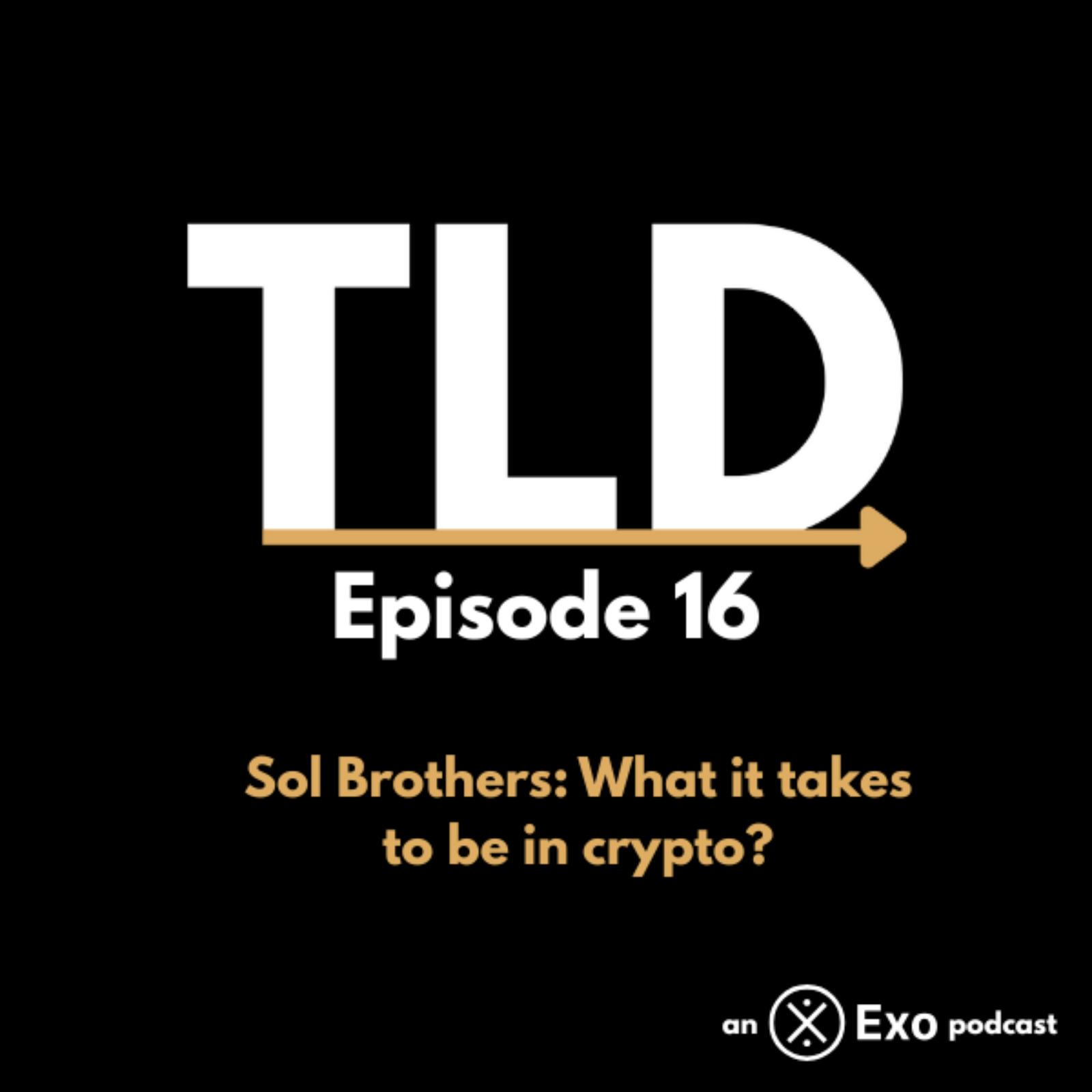 Sol Brothers: What it takes to be in crypto?