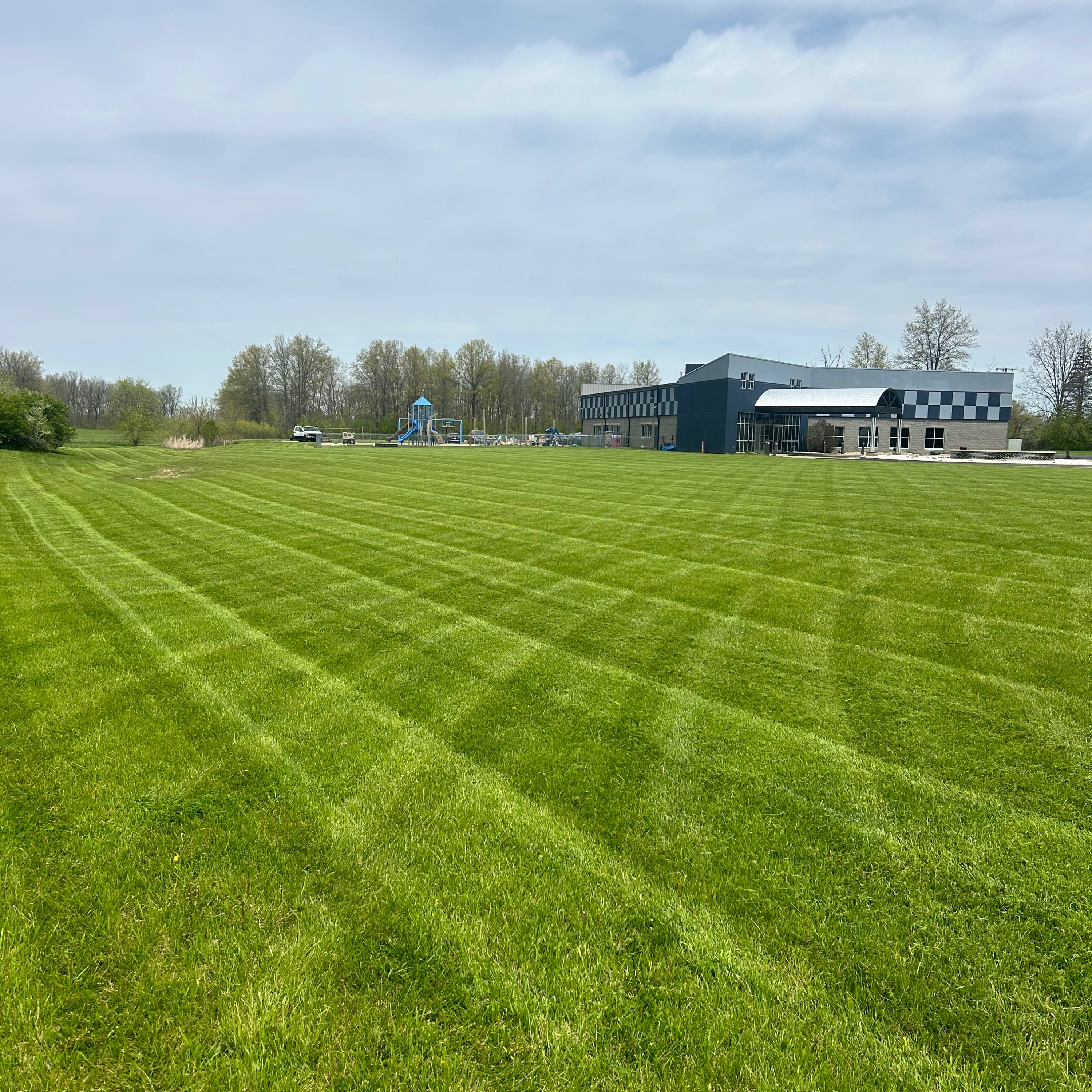 The Advantages of Mowing Dry Grass!