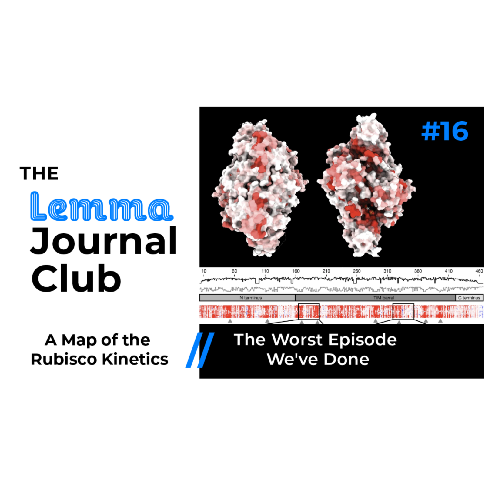 The Lemma Journal Club