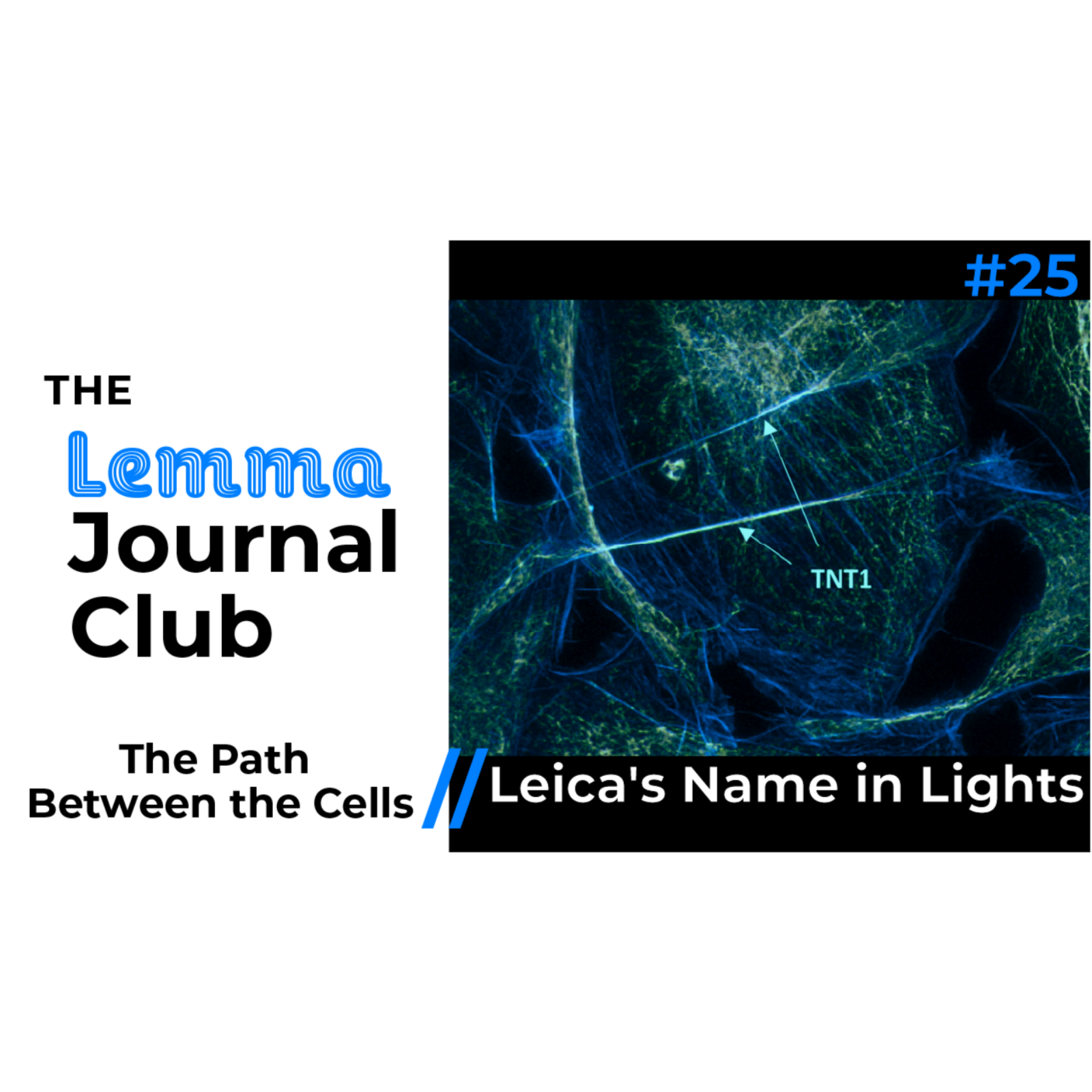 The Lemma Journal Club