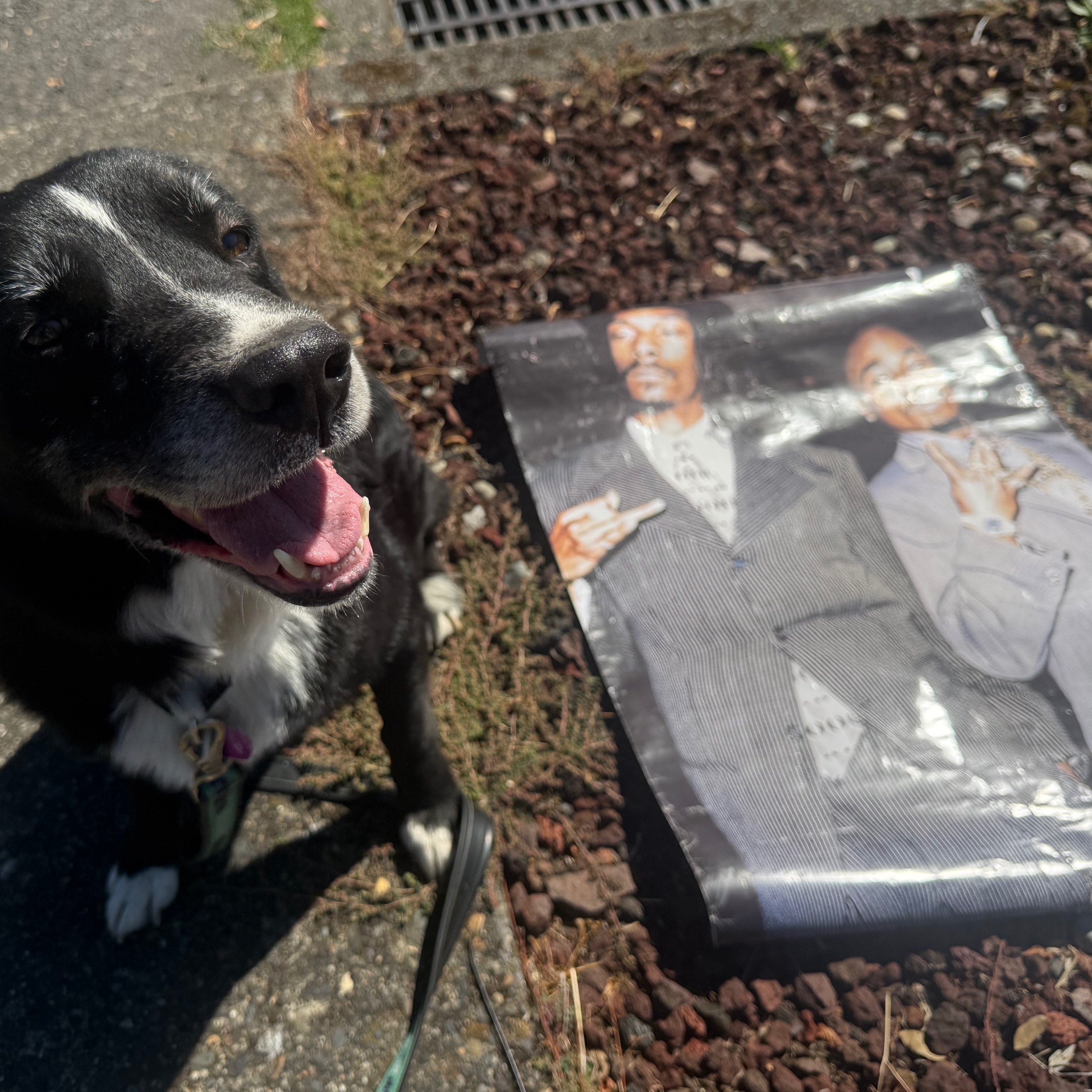 Tupac, Snoop Dogg, Harold