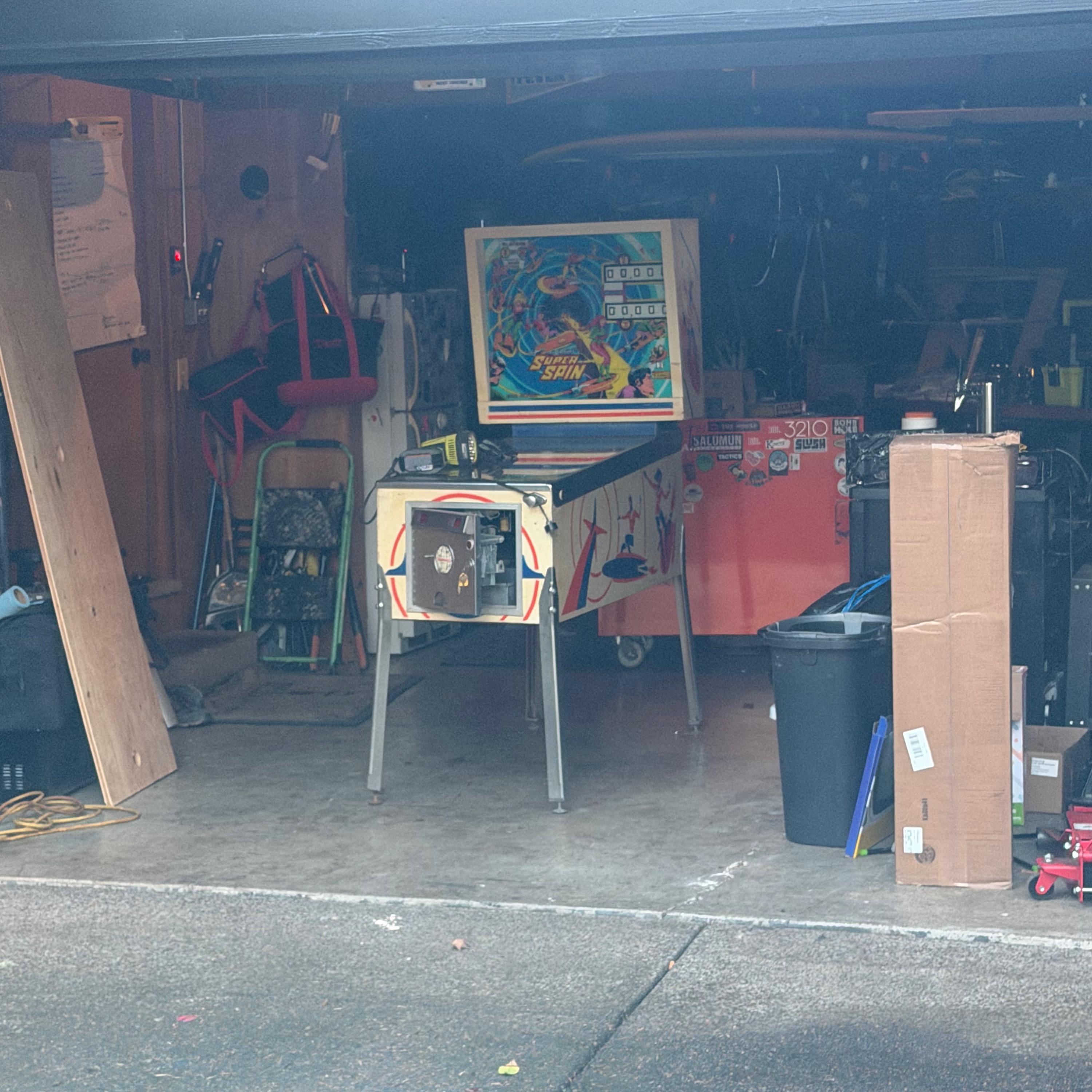 The great flood of 1996