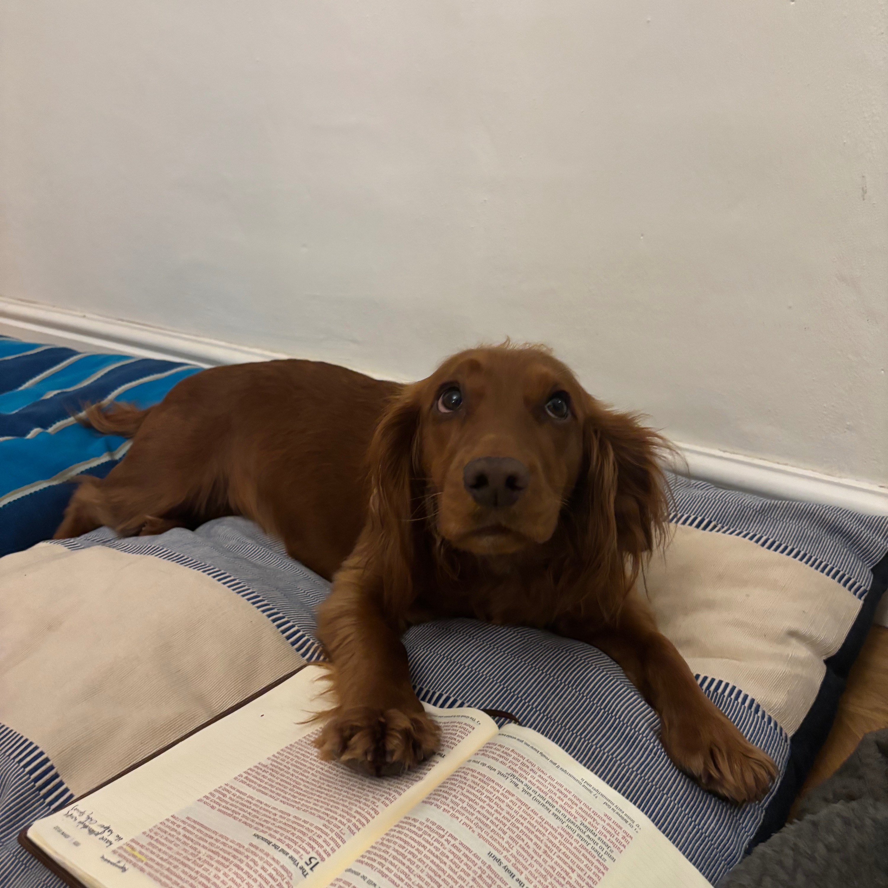 The Lords Bible study 